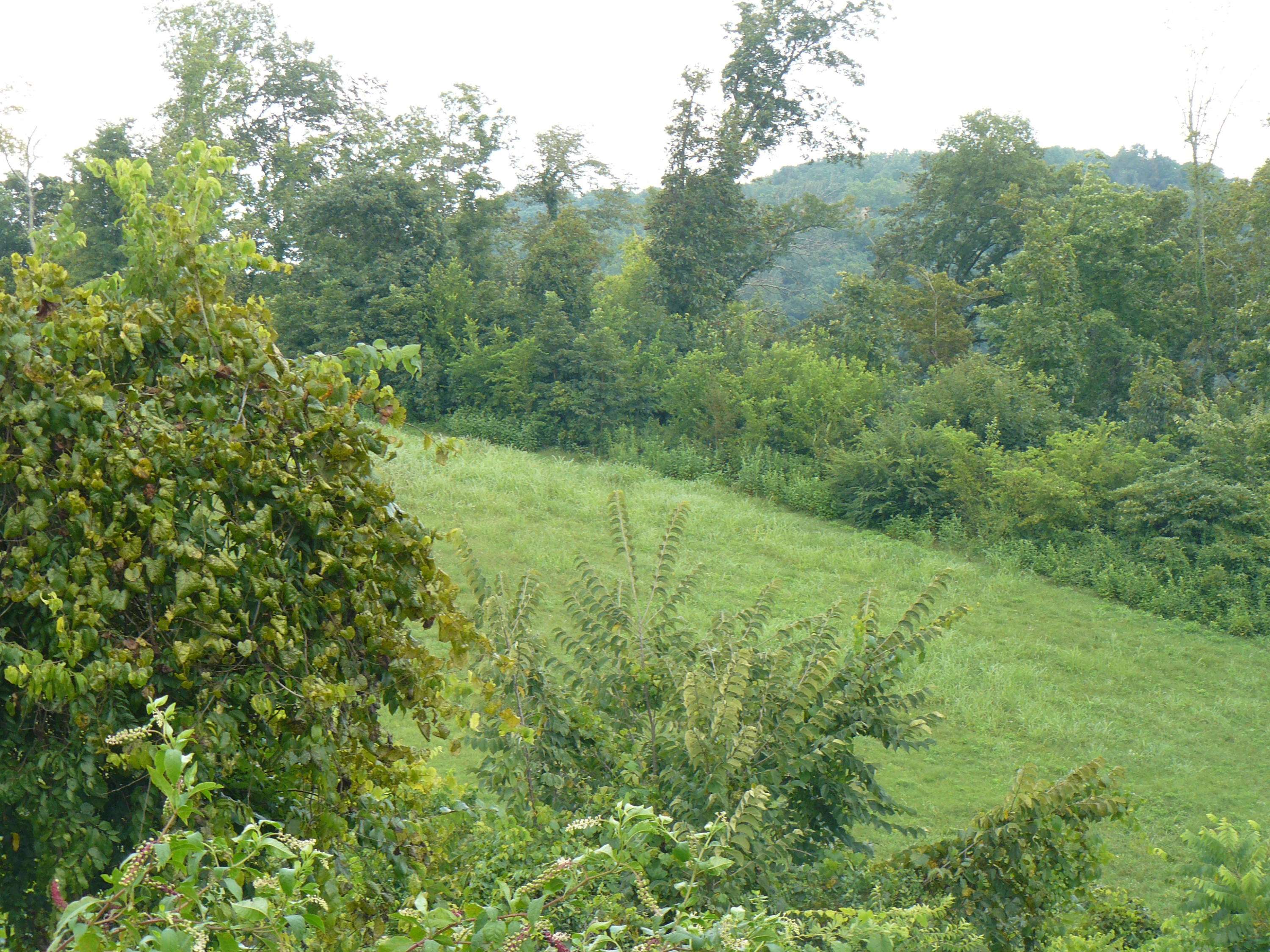 Rutledge, TN 37861,Lot 15 Lookout Drive