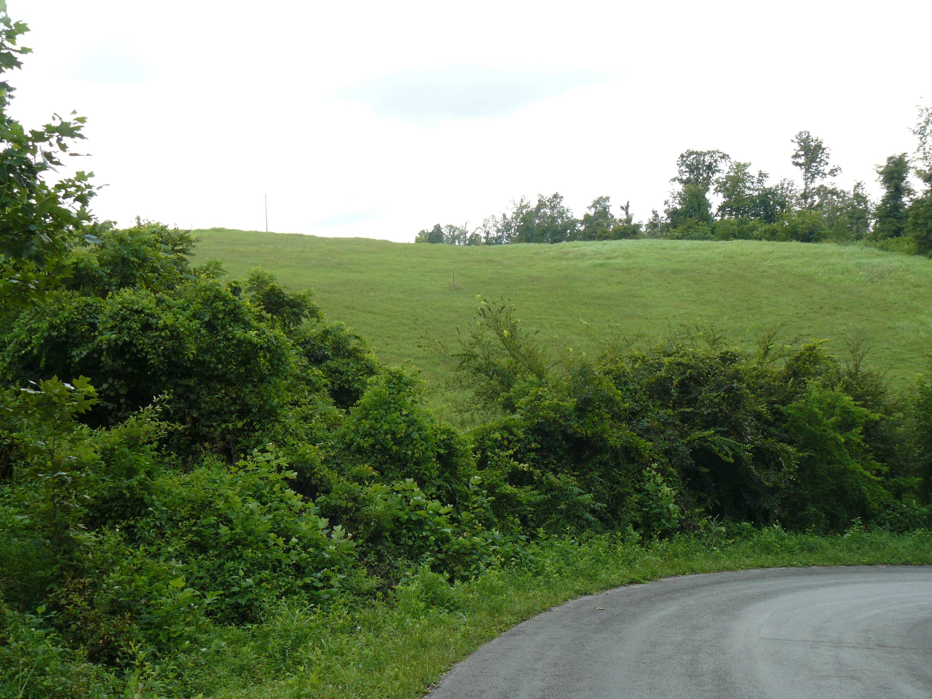 Rutledge, TN 37861,Lot 15 Lookout Drive