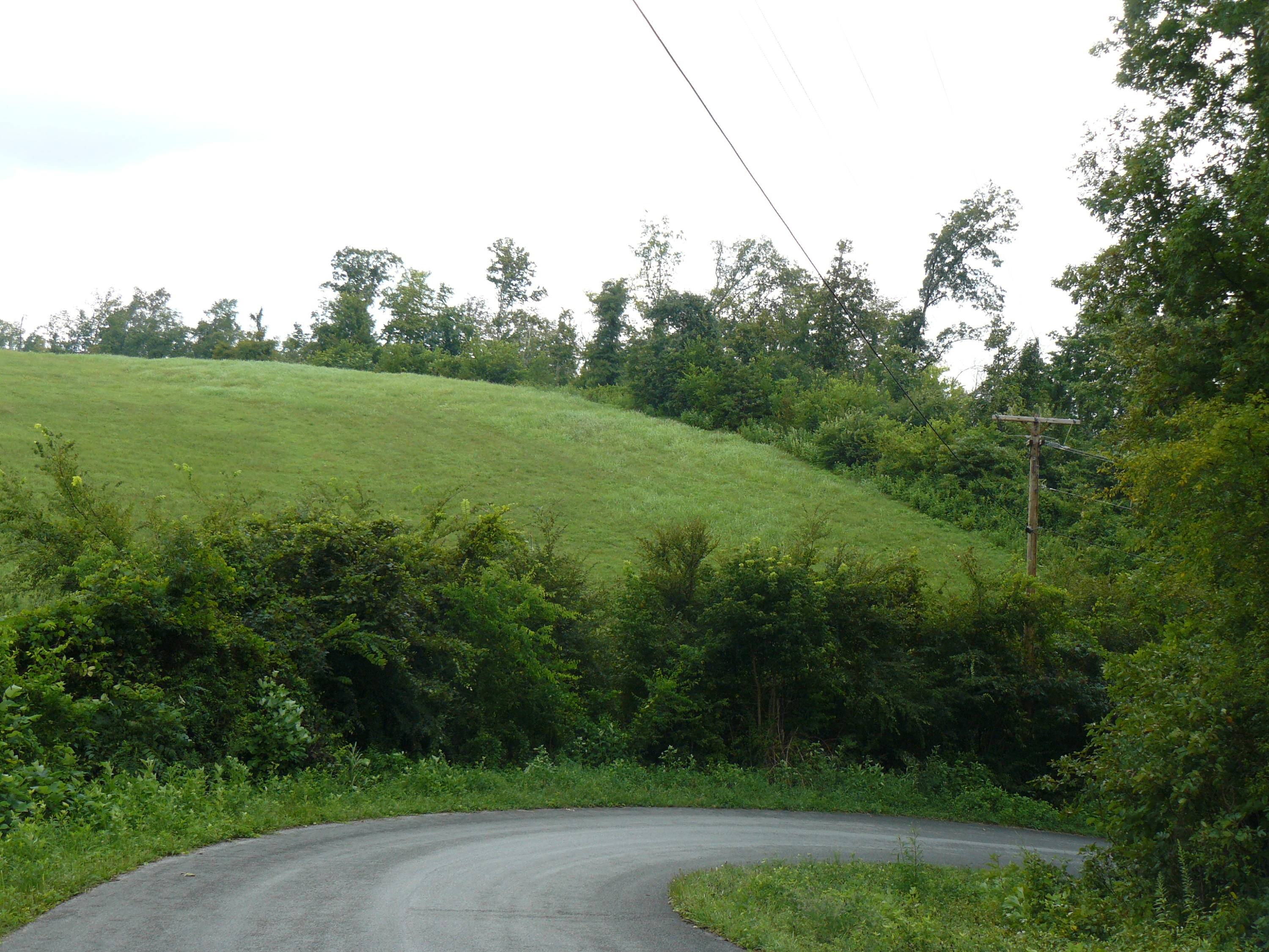 Rutledge, TN 37861,Lot 16 Lookout Drive