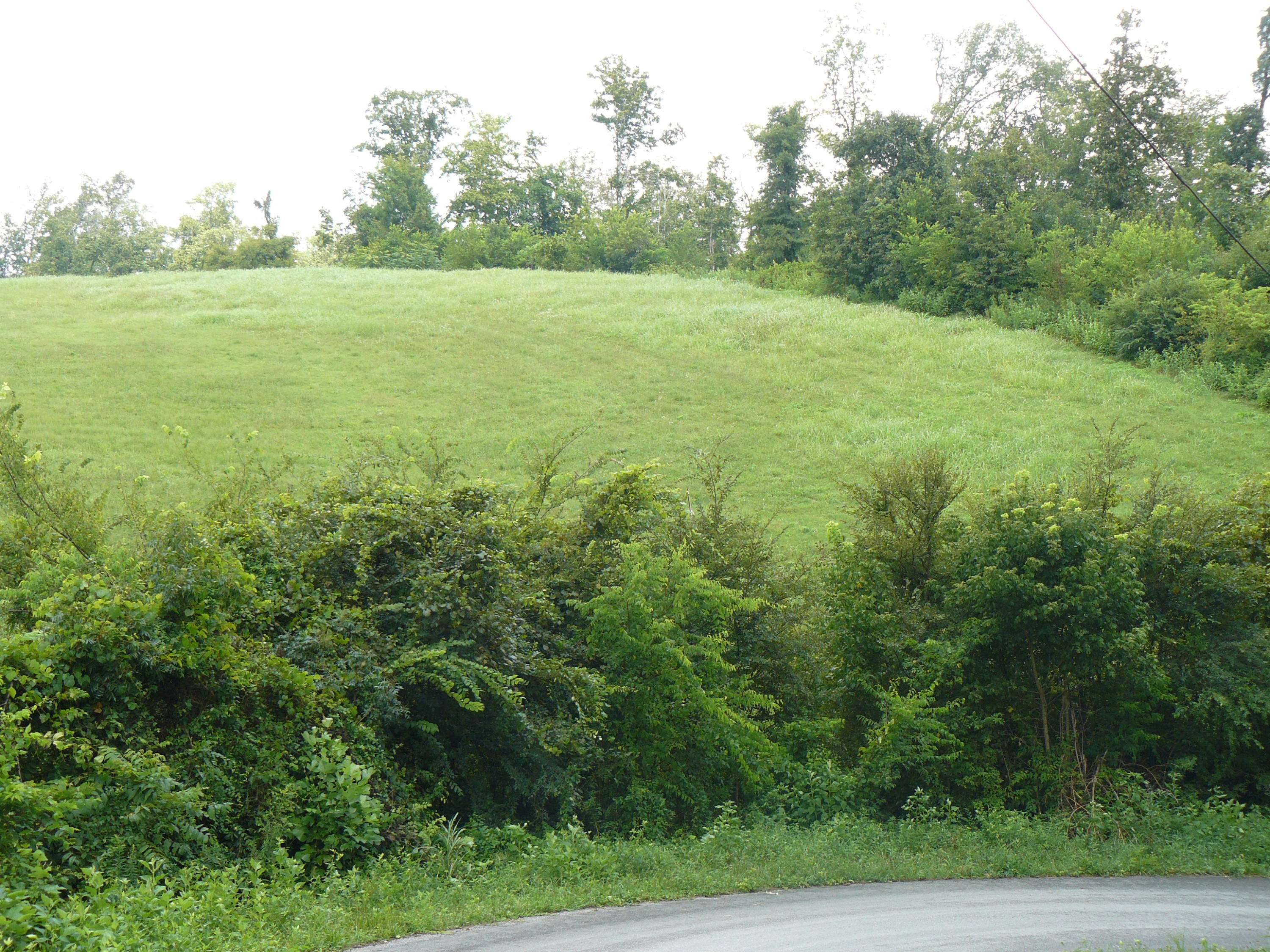 Rutledge, TN 37861,Lot 16 Lookout Drive