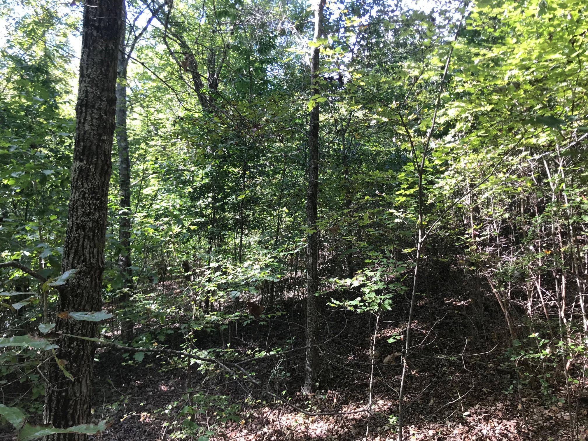 Rockwood, TN 37854,Lot 384 Thief Neck View DR