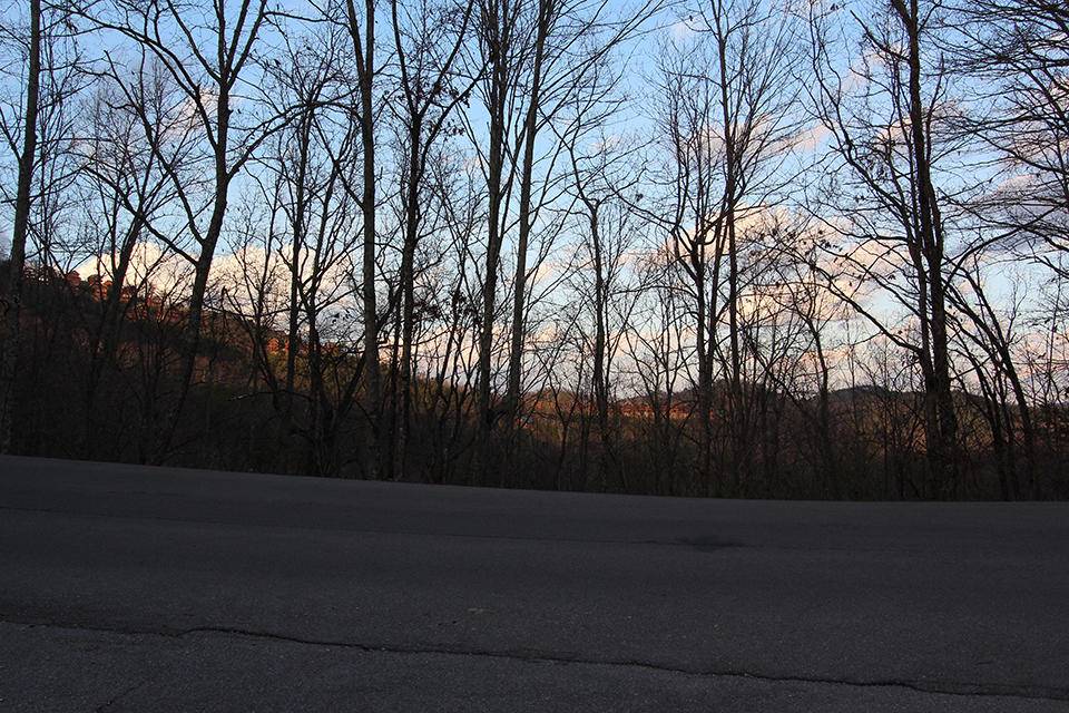 Sevierville, TN 37862,Lot 57e Harvest Moon Rd