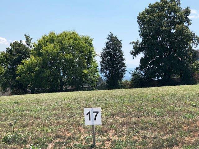 Dandridge, TN 37725,Lot 17-Fairway Drive