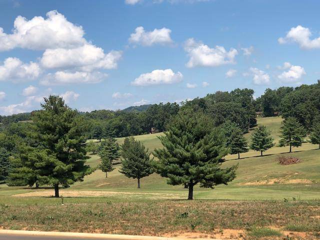 Dandridge, TN 37725,Lot 17-Fairway Drive