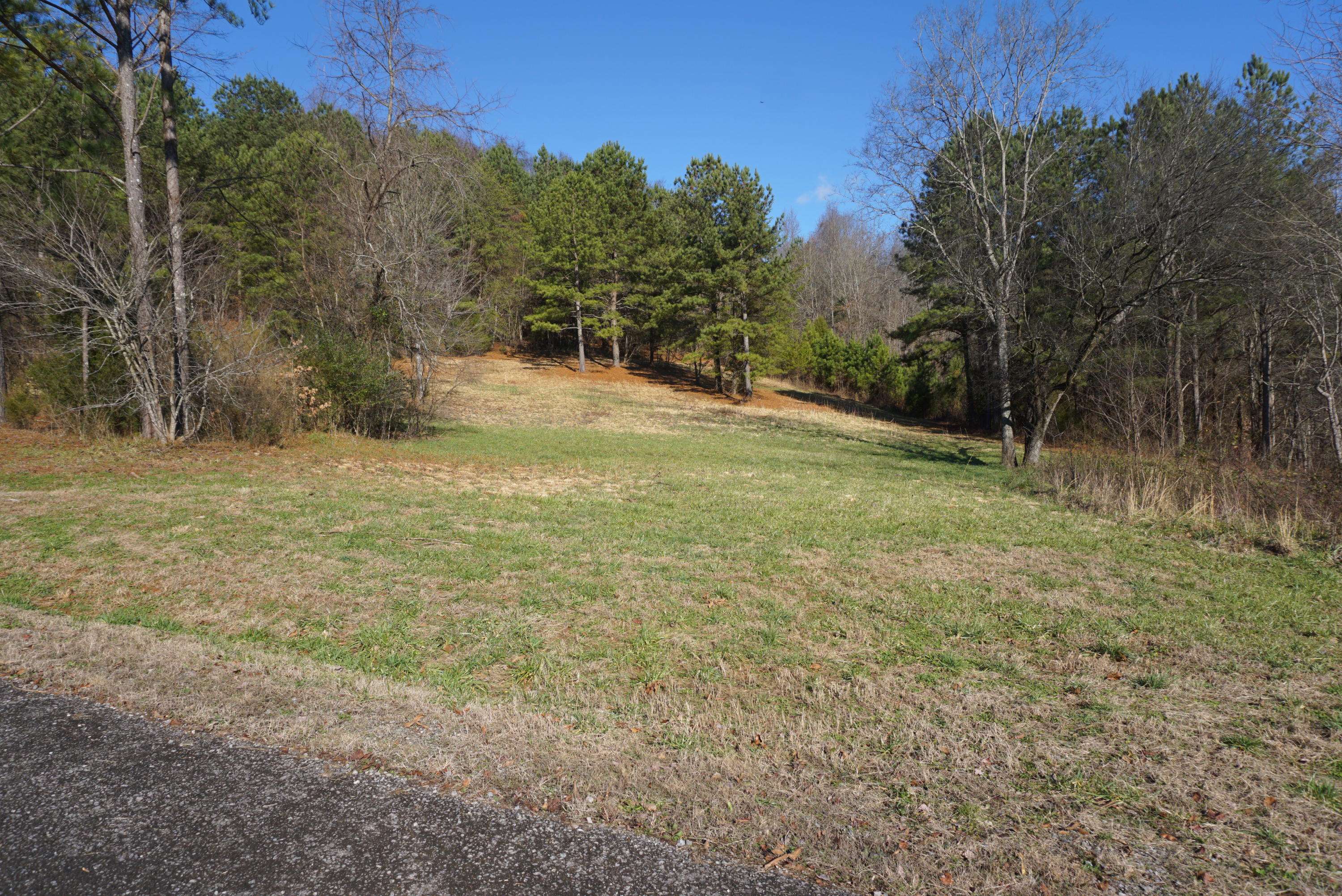 Vonore, TN 37885,Overlook WAY