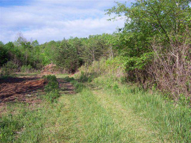 Tellico Plains, TN 37385,Highway 68