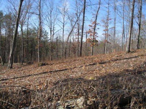 Bean Station, TN 37708,Bayside Blvd. Lot 43