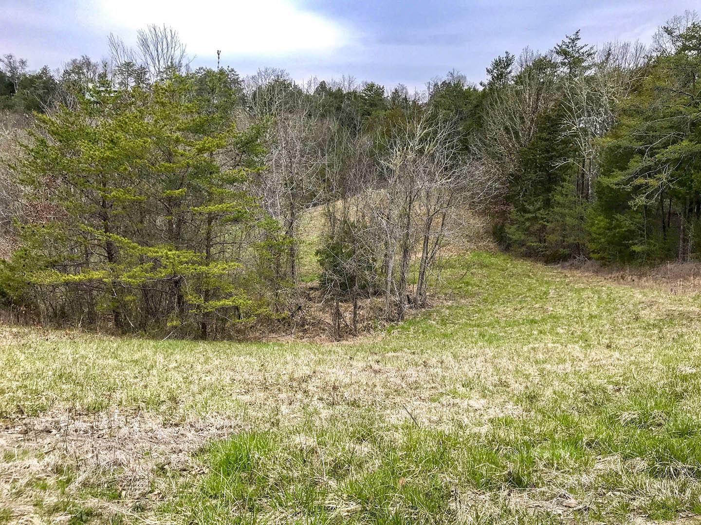 Sevierville, TN 37876,Lot 6 Debras WAY