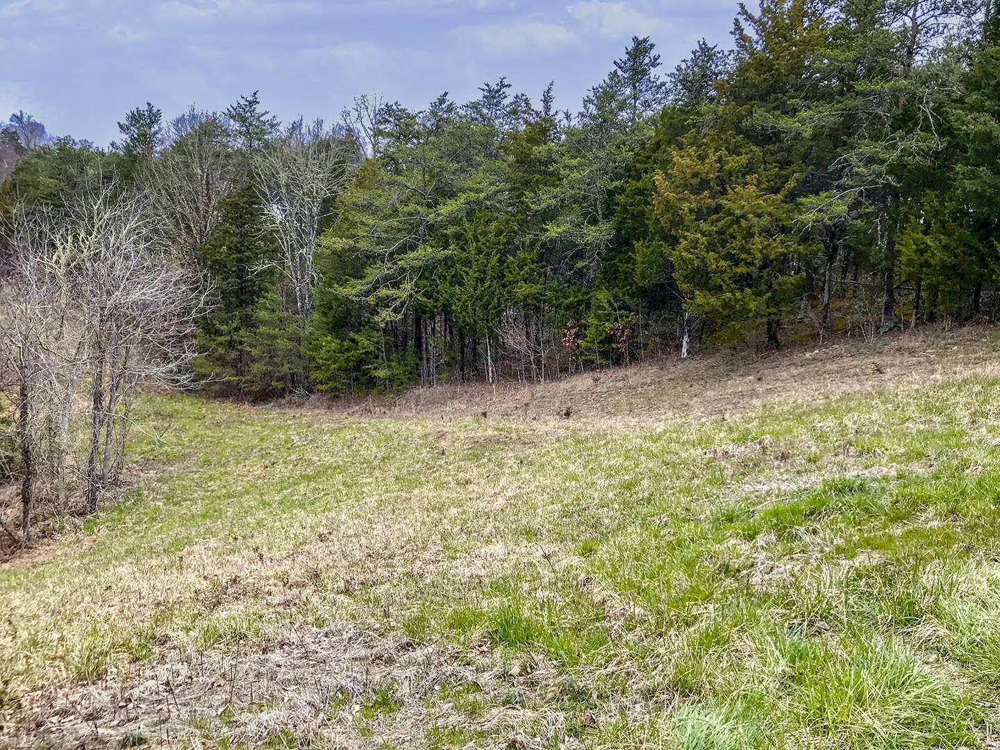 Sevierville, TN 37876,Lot 6 Debras WAY