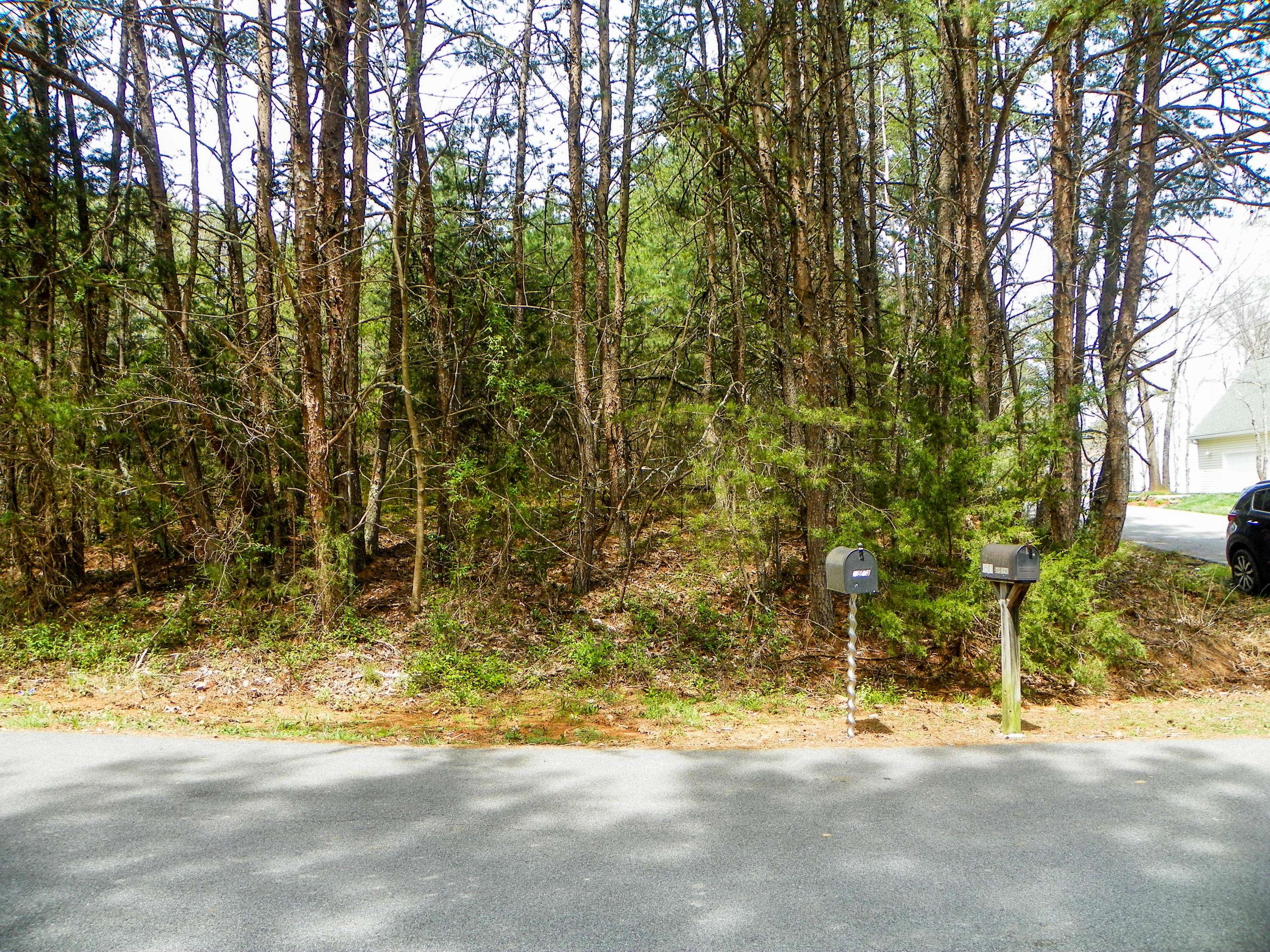 Sevierville, TN 37862,Lot# 17 Valley Woods DR