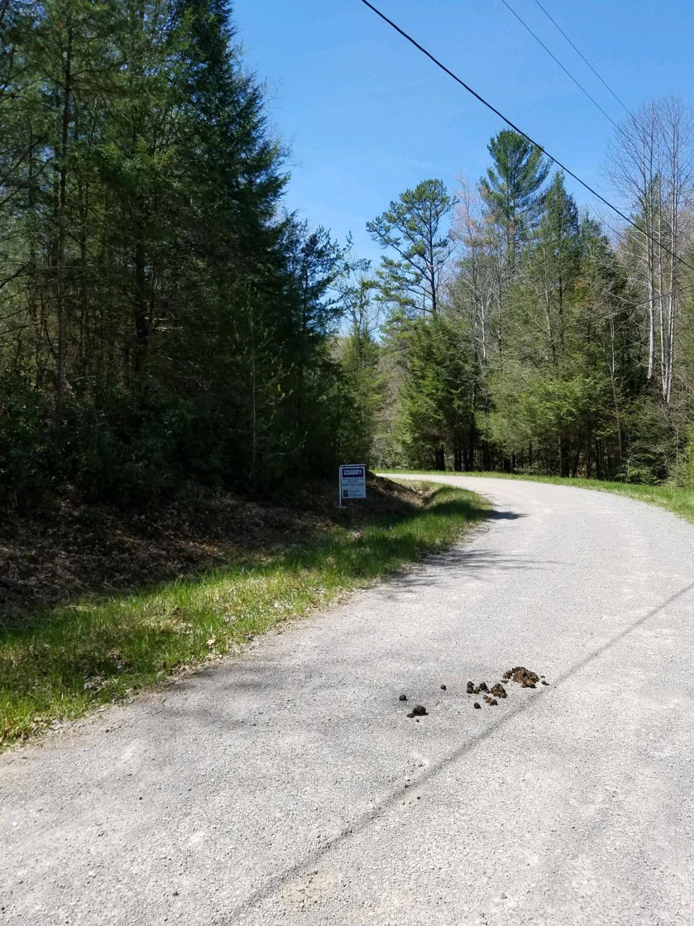 Jamestown, TN 38556,Indian Rock Rd