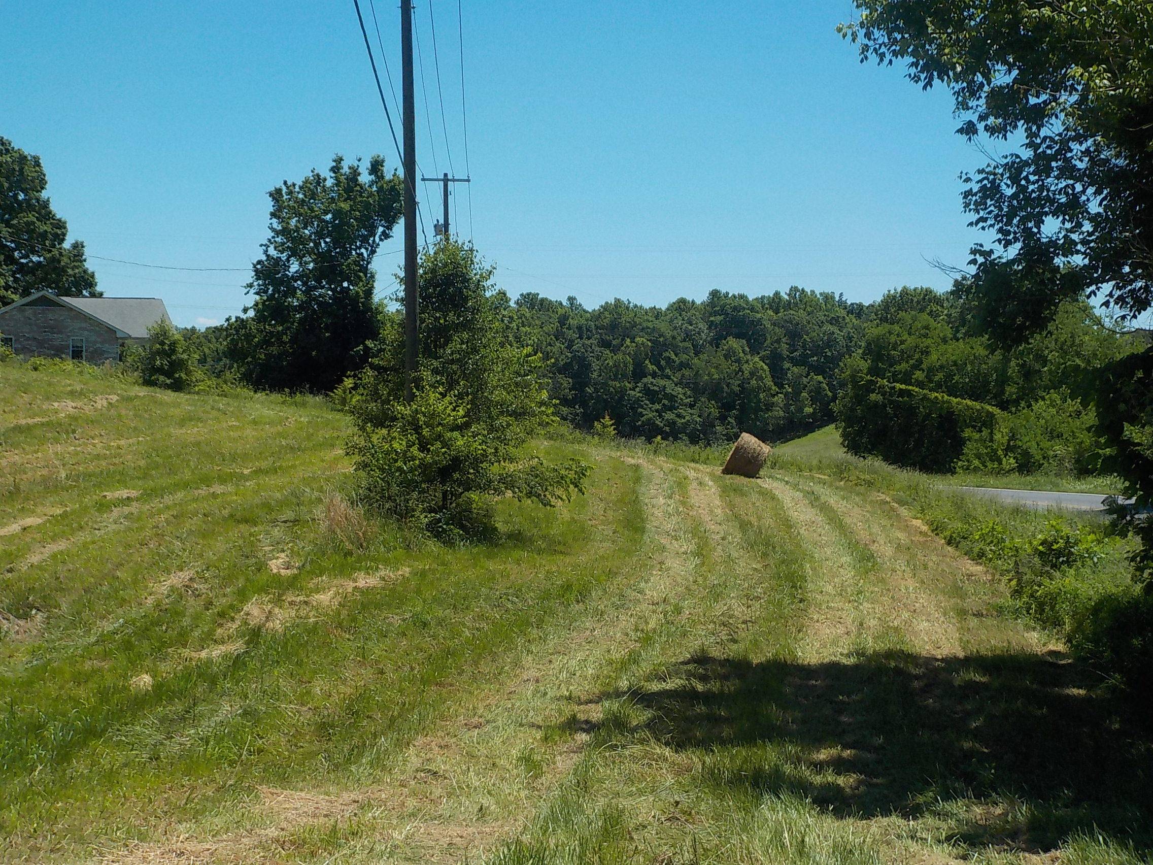 Blaine, TN 37709,Lot 1 Indian Ridge Road