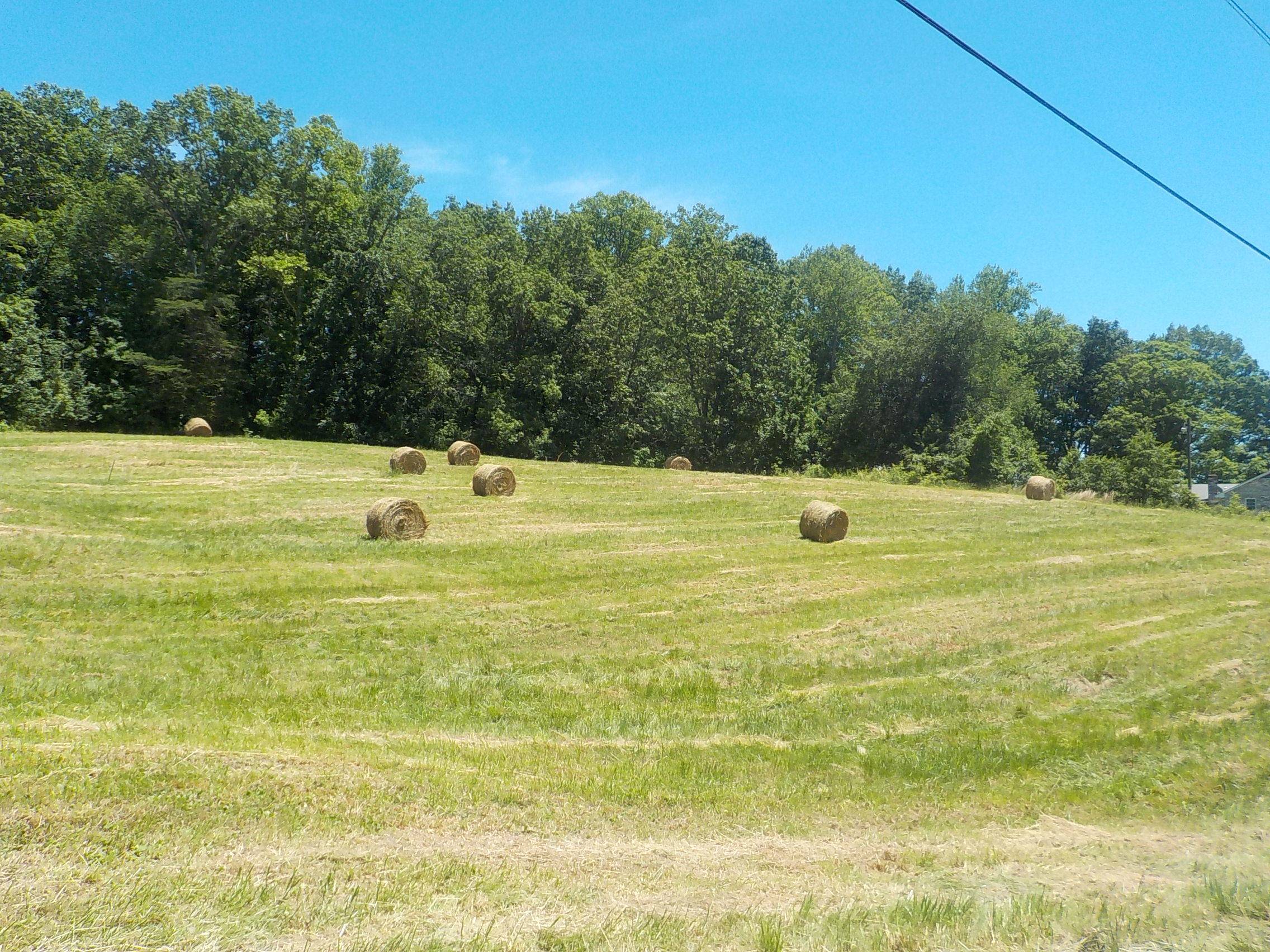 Blaine, TN 37709,Lot 1 Indian Ridge Road