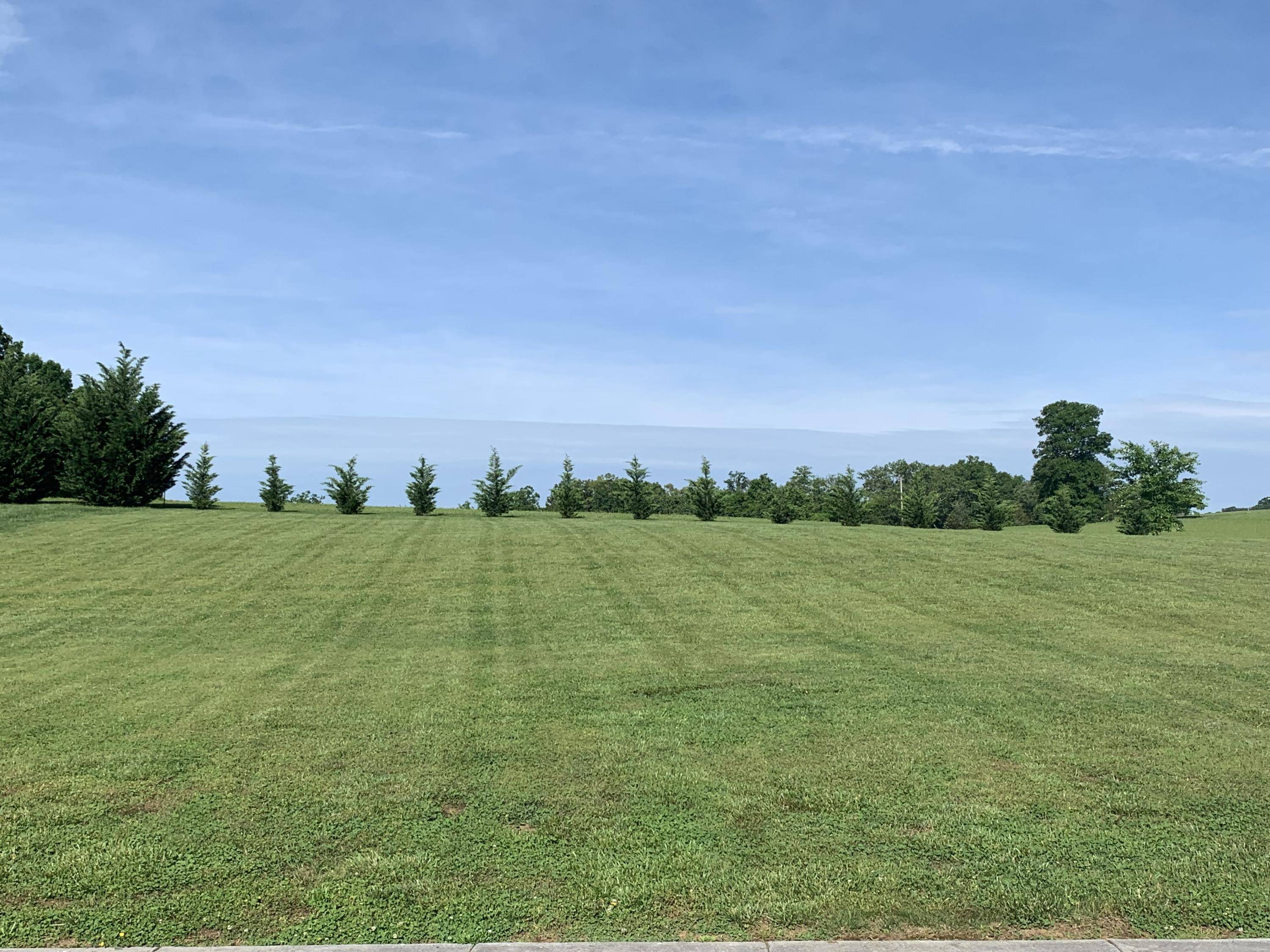 Dandridge, TN 37725,Lot 17 Luxury LN