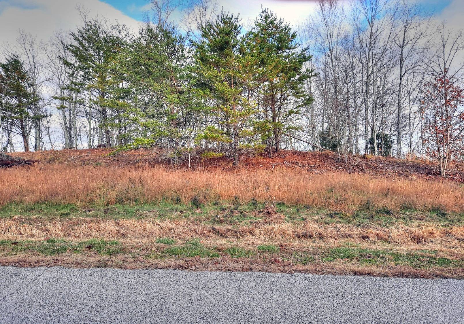 Rockwood, TN 37854,Lot 402 Flint Ridge Rd