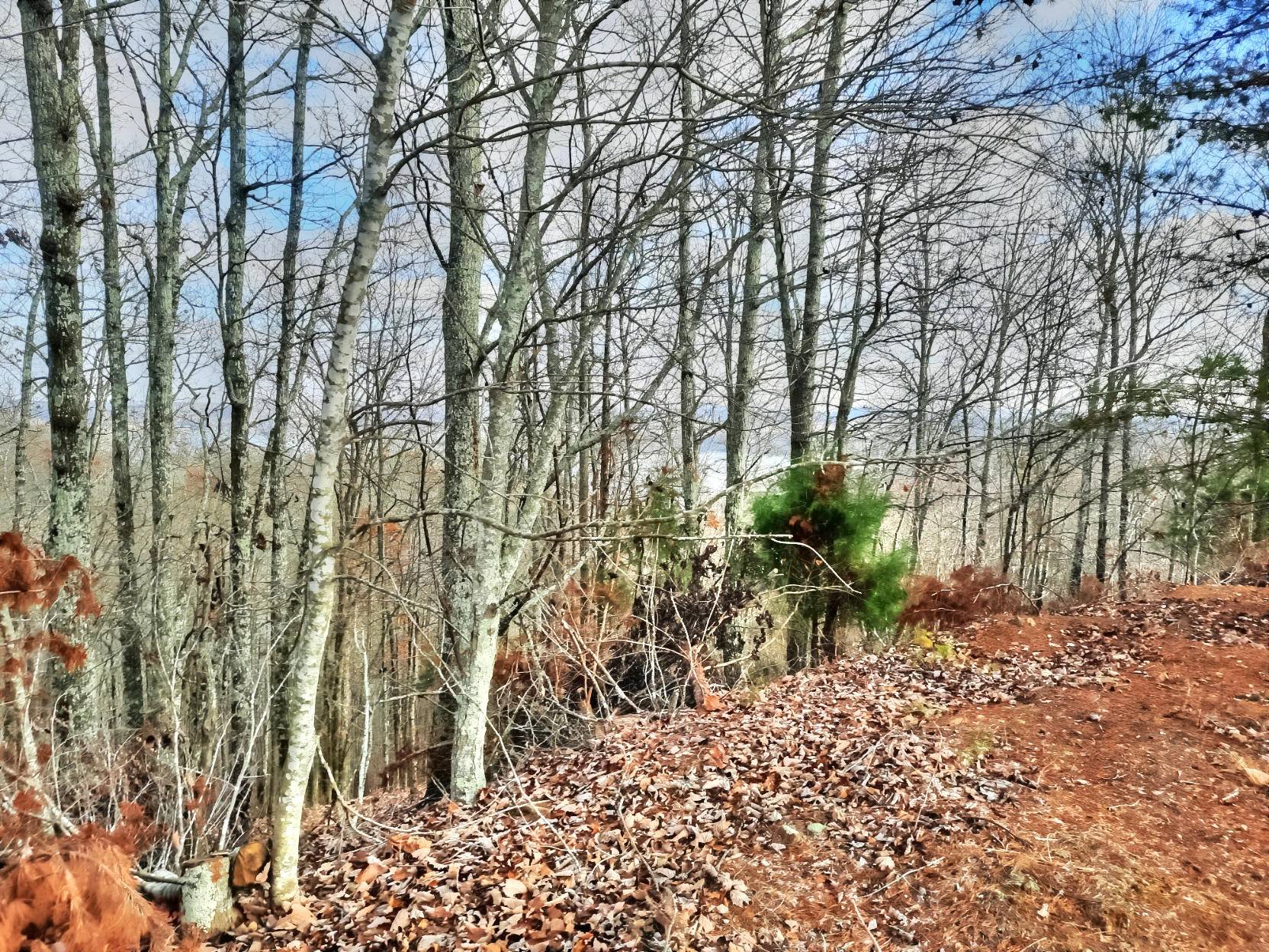 Rockwood, TN 37854,Lot 402 Flint Ridge Rd