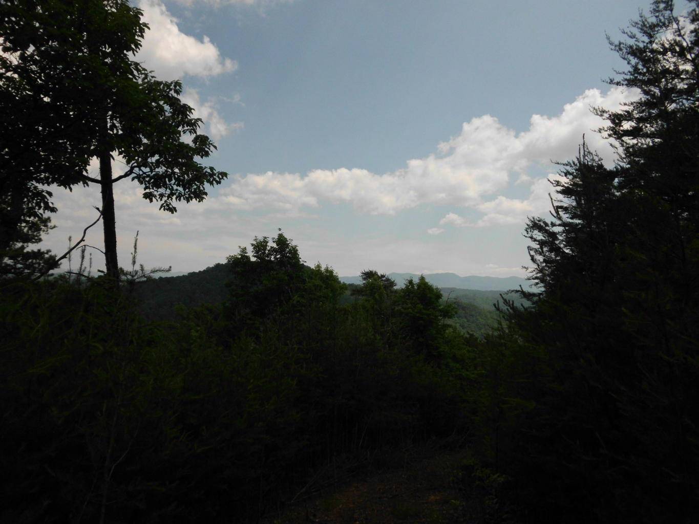 Tellico Plains, TN 37385,Bullet Mountain DR