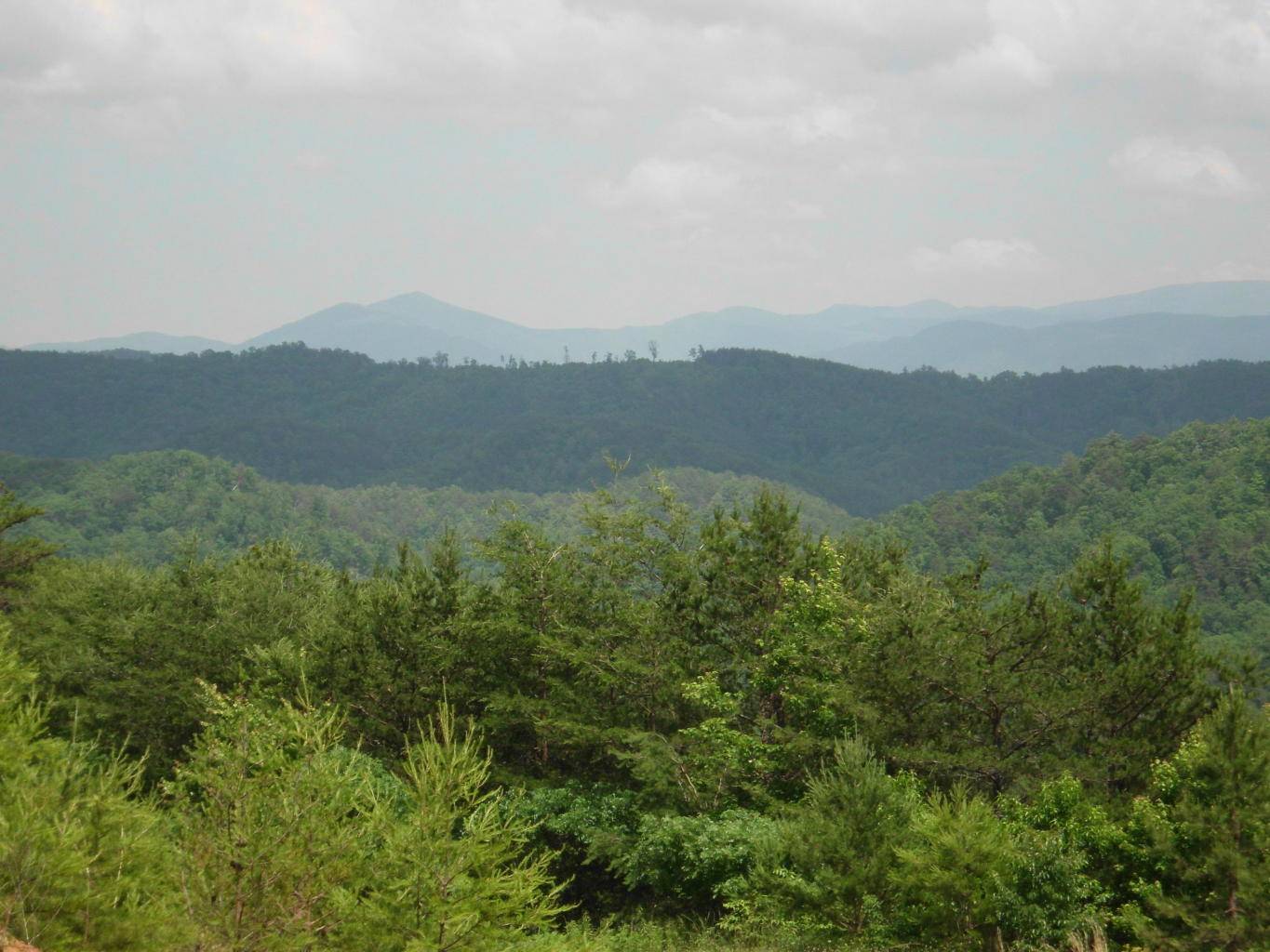 Tellico Plains, TN 37385,Bullet Mountain DR