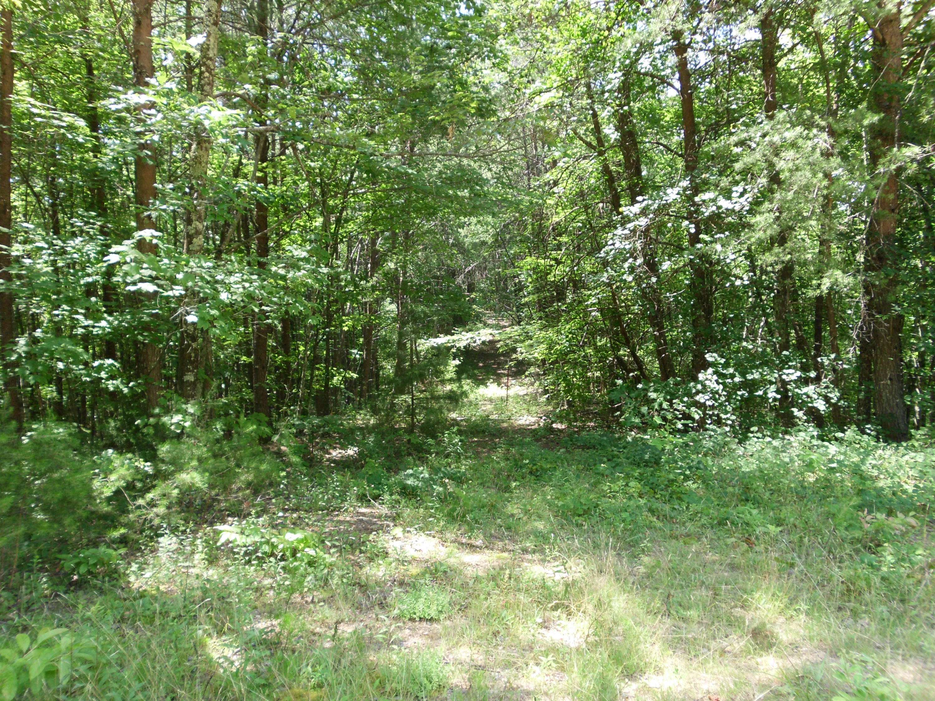 Tellico Plains, TN 37385,Off Bullet Mountain DR