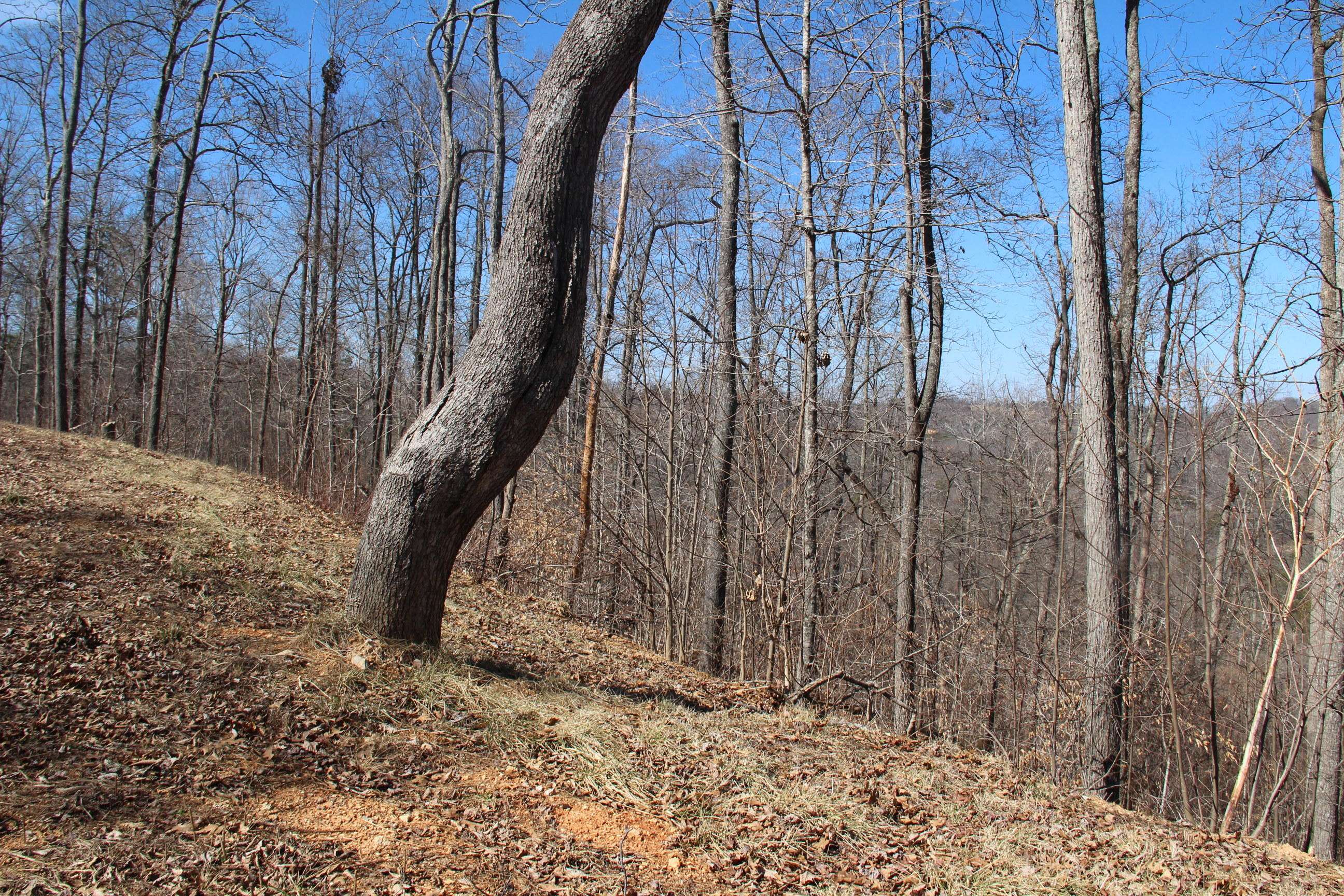 Lafollette, TN 37766,Lot 624 Two Rivers LN