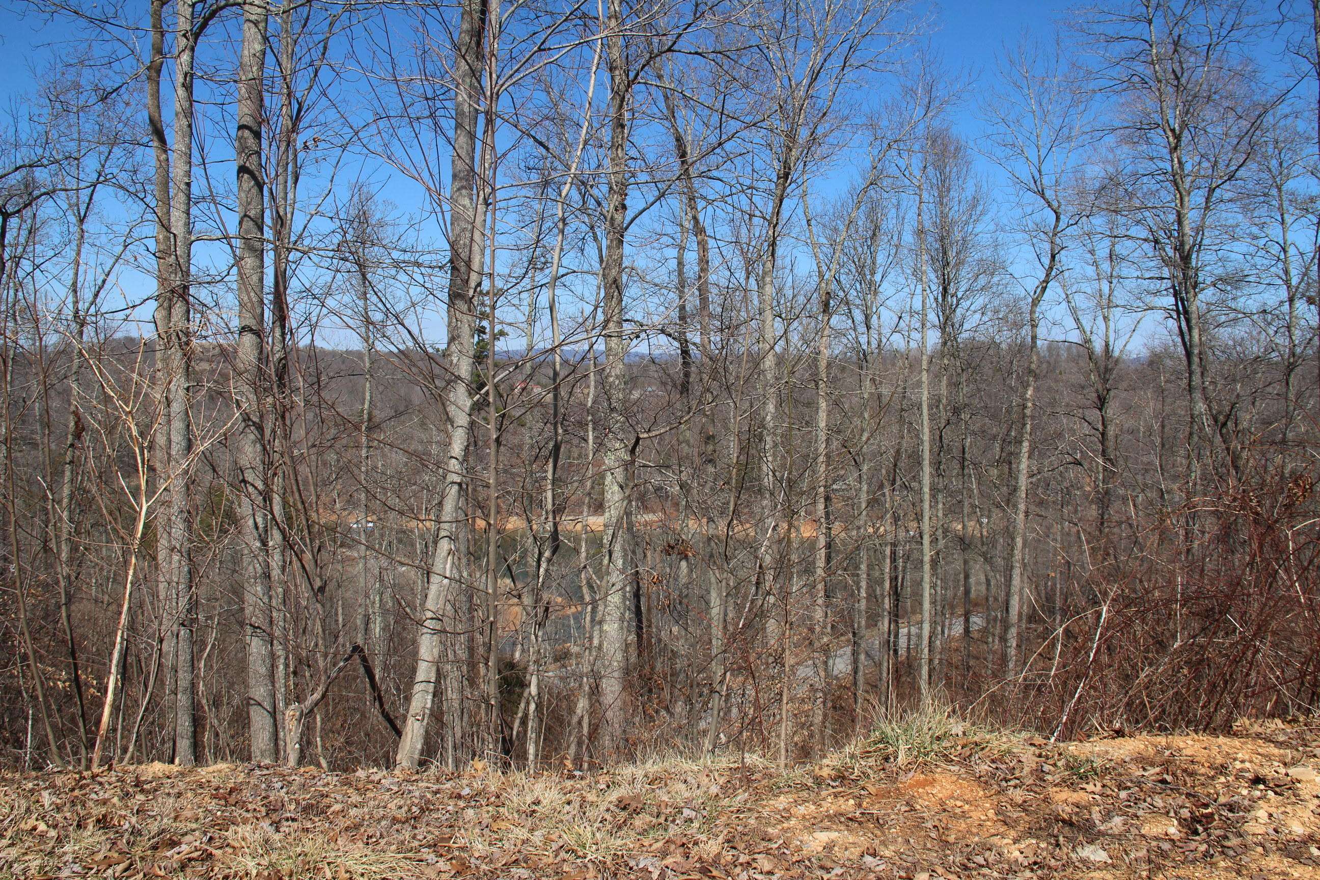 Lafollette, TN 37766,Lot 624 Two Rivers LN