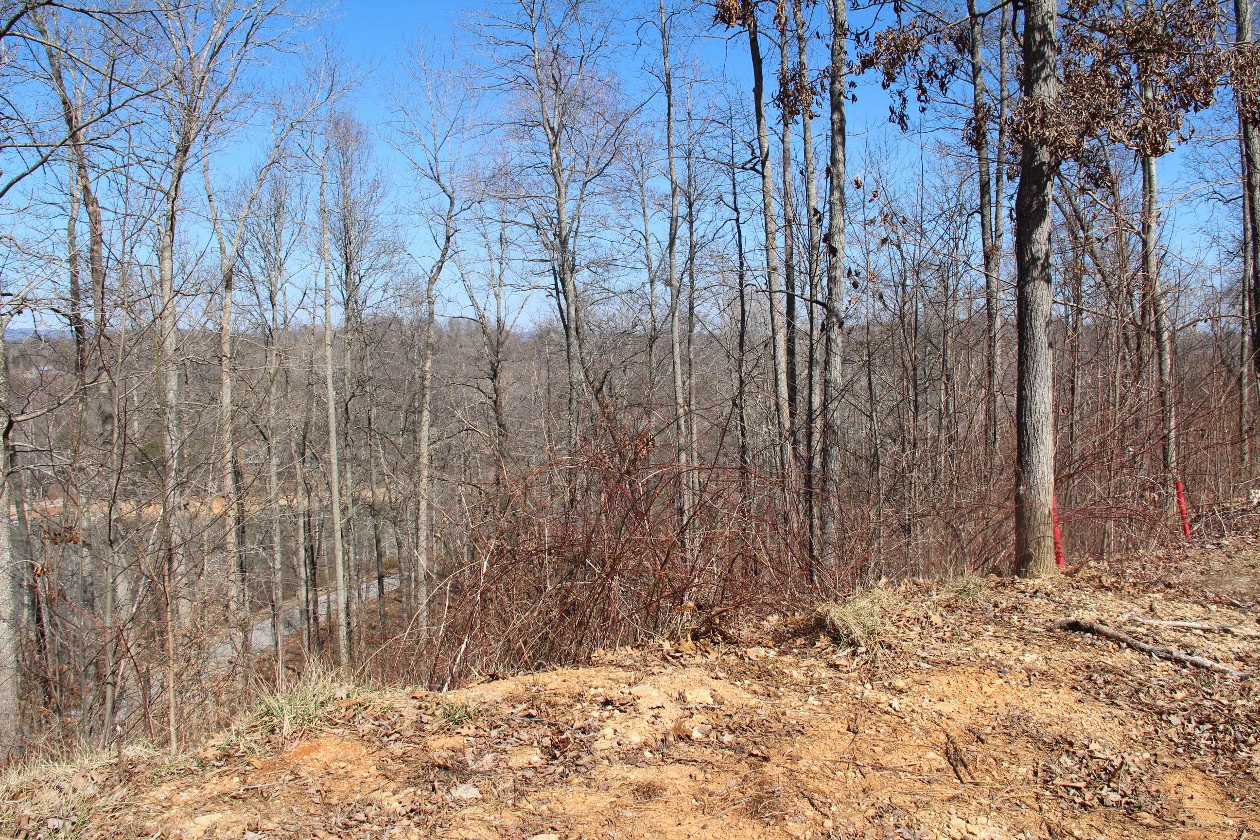 Lafollette, TN 37766,Lot 624 Two Rivers LN