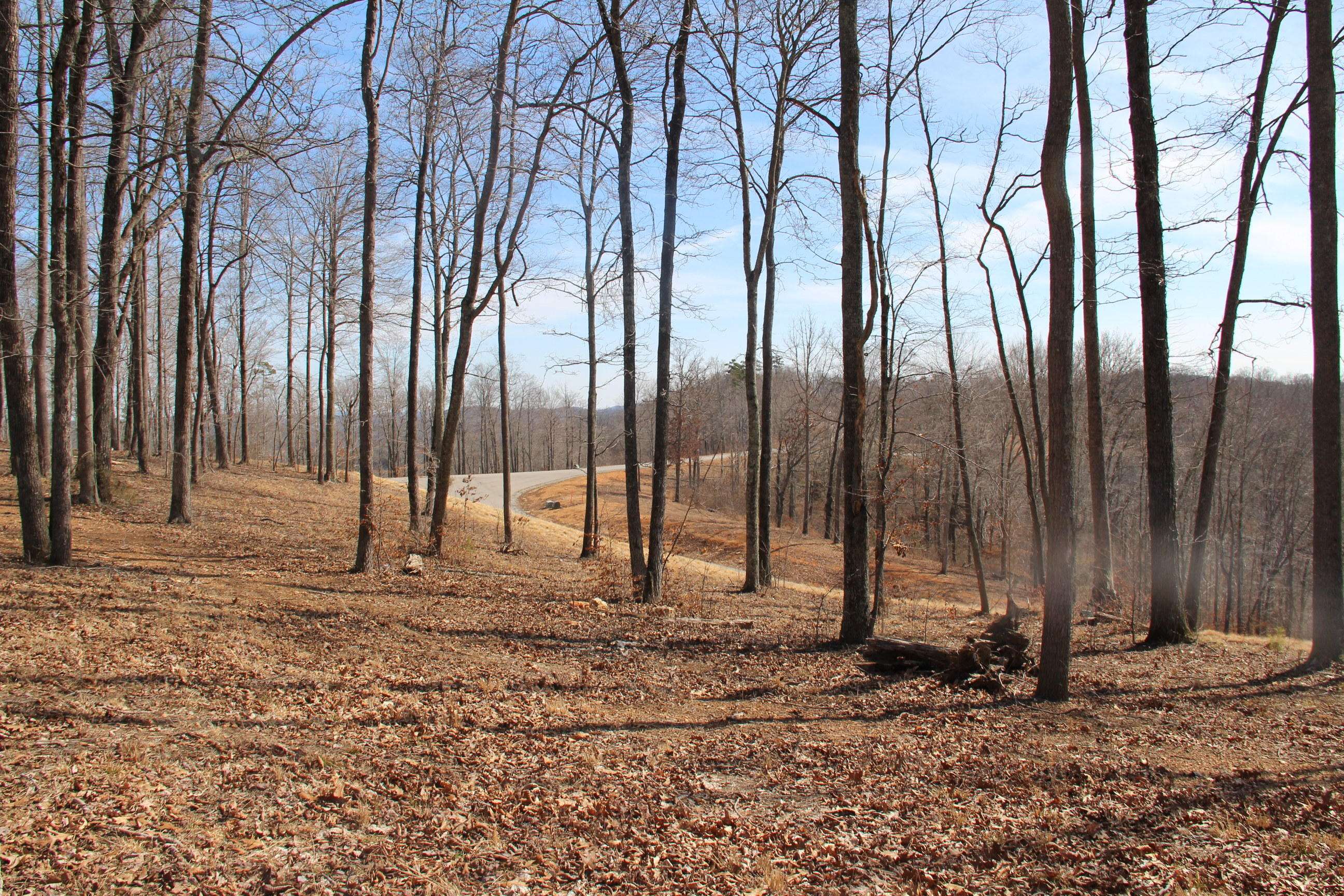 Lafollette, TN 37766,Lot 624 Two Rivers LN