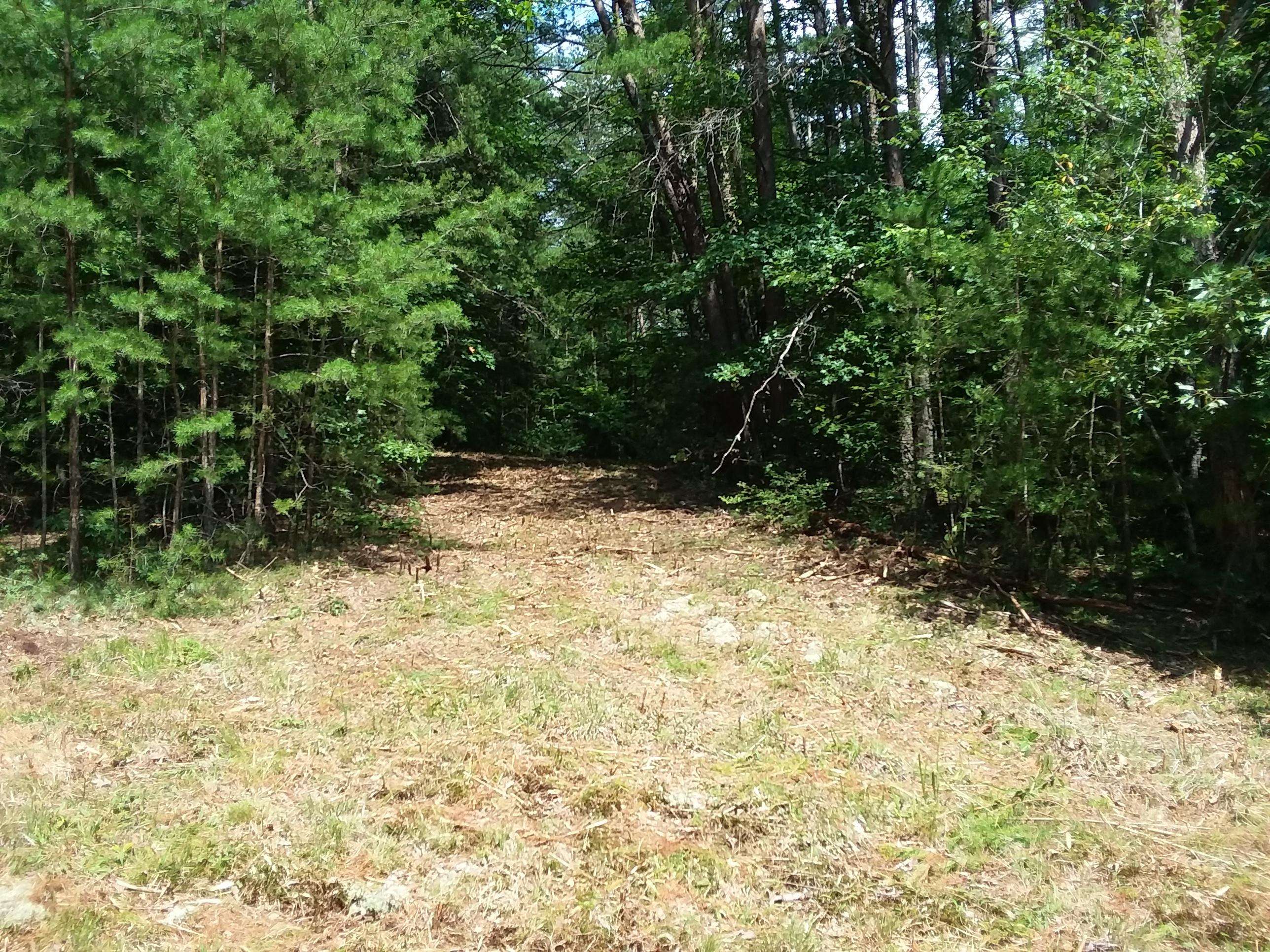 Tellico Plains, TN 37385,490 Unicoi Lakes Rd