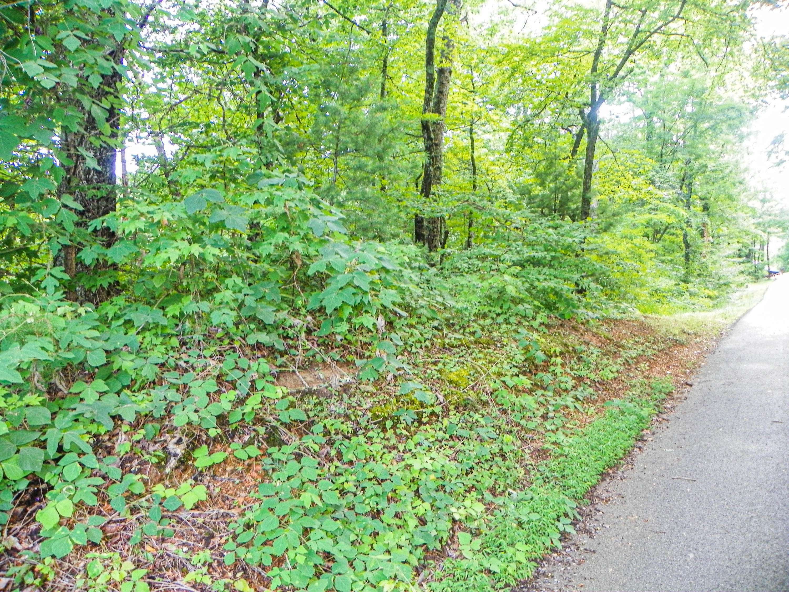 Sevierville, TN 37862,Lot# 23 Brooke Hollow LN