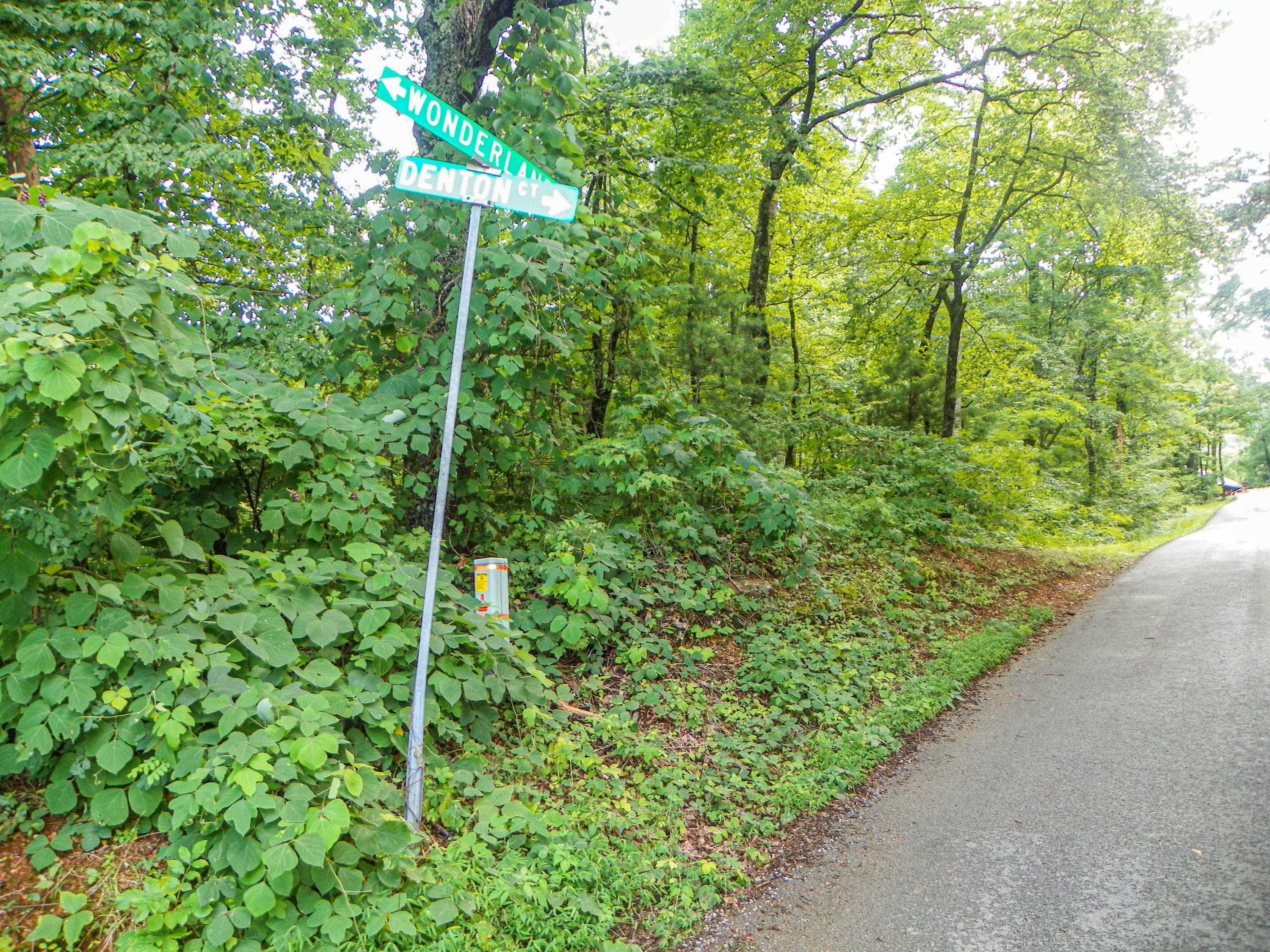 Sevierville, TN 37862,Lot# 23 Brooke Hollow LN