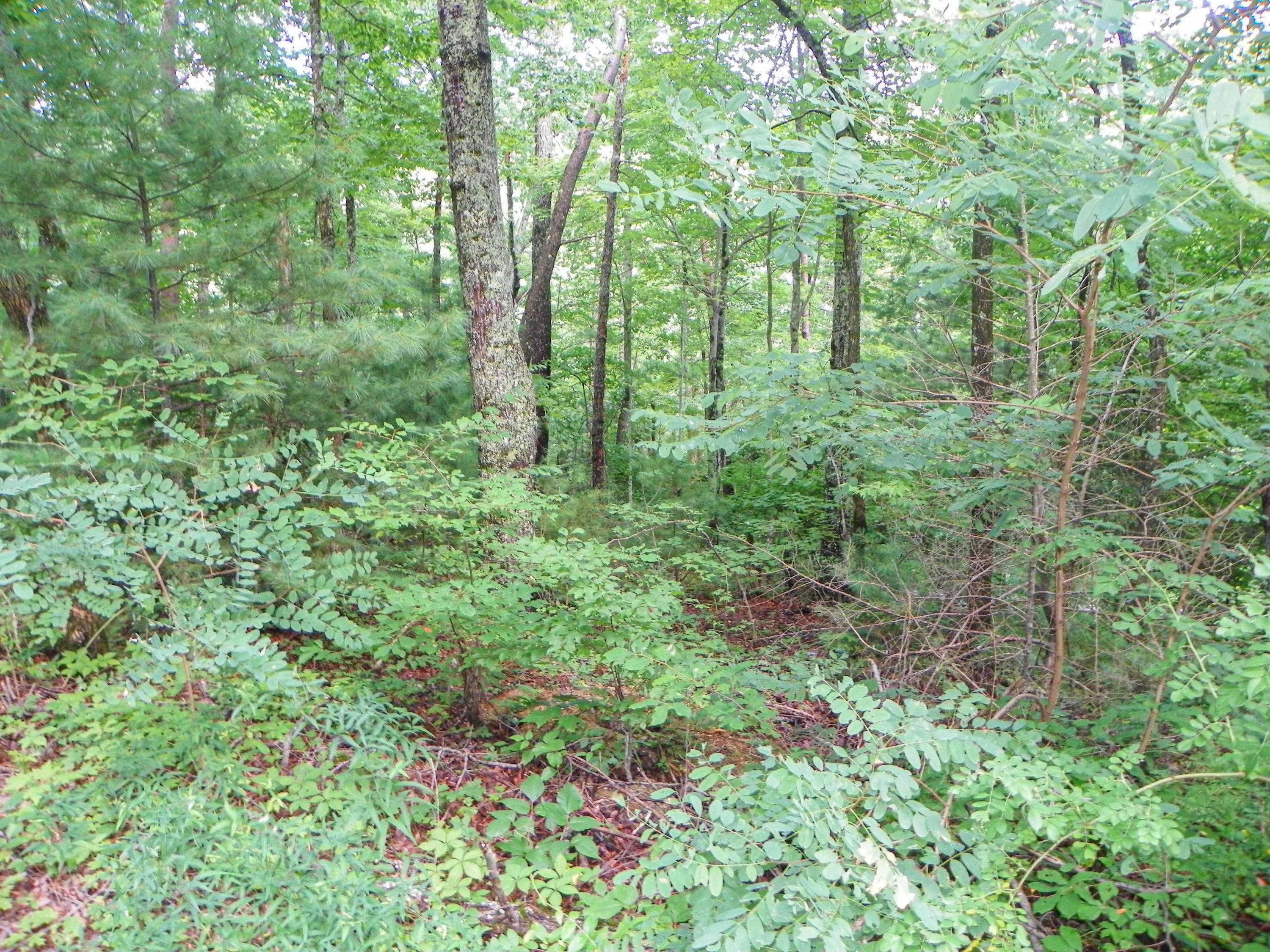 Sevierville, TN 37862,Lot# 23 Brooke Hollow LN