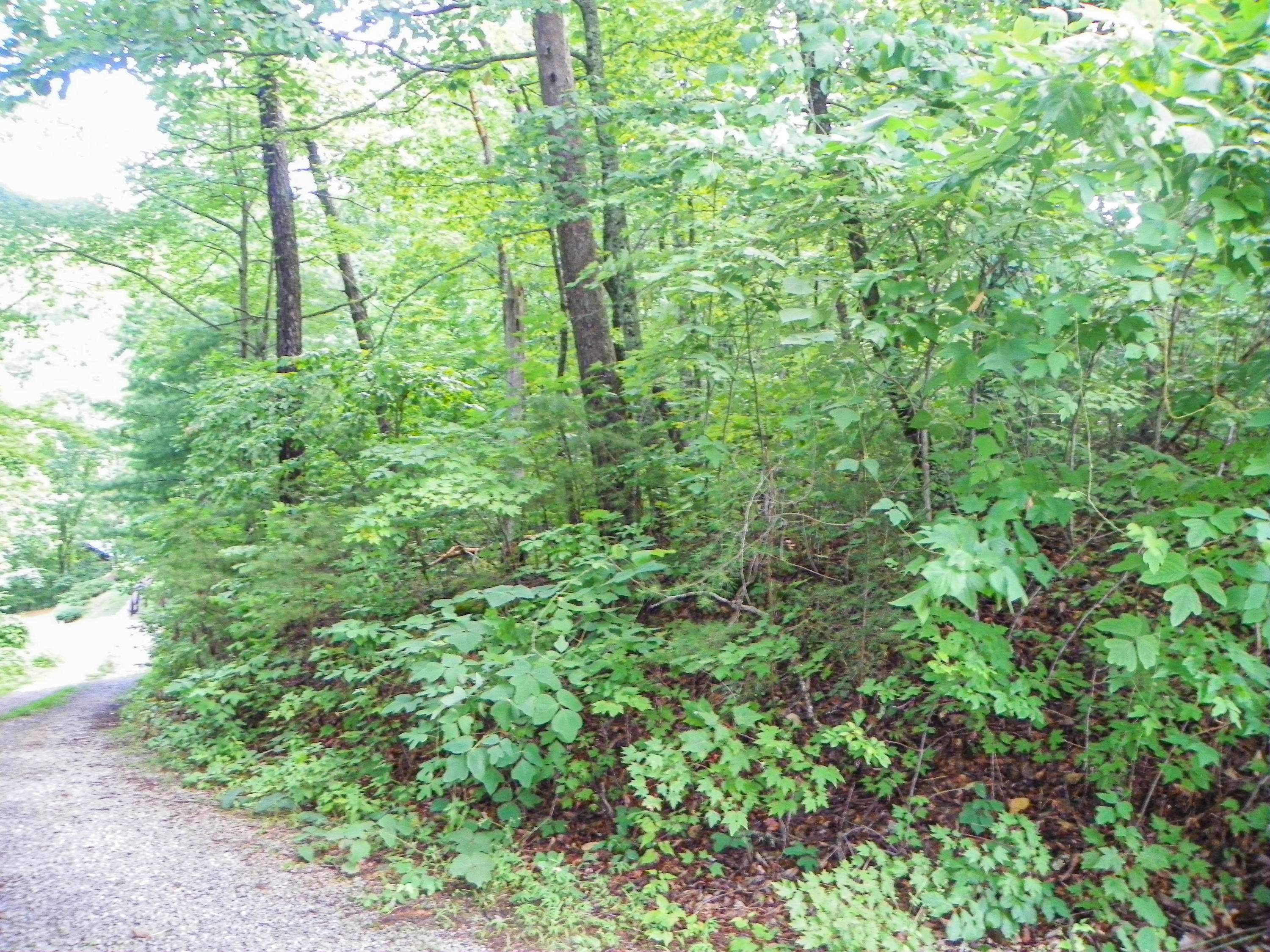 Sevierville, TN 37862,Lot# 23 Brooke Hollow LN