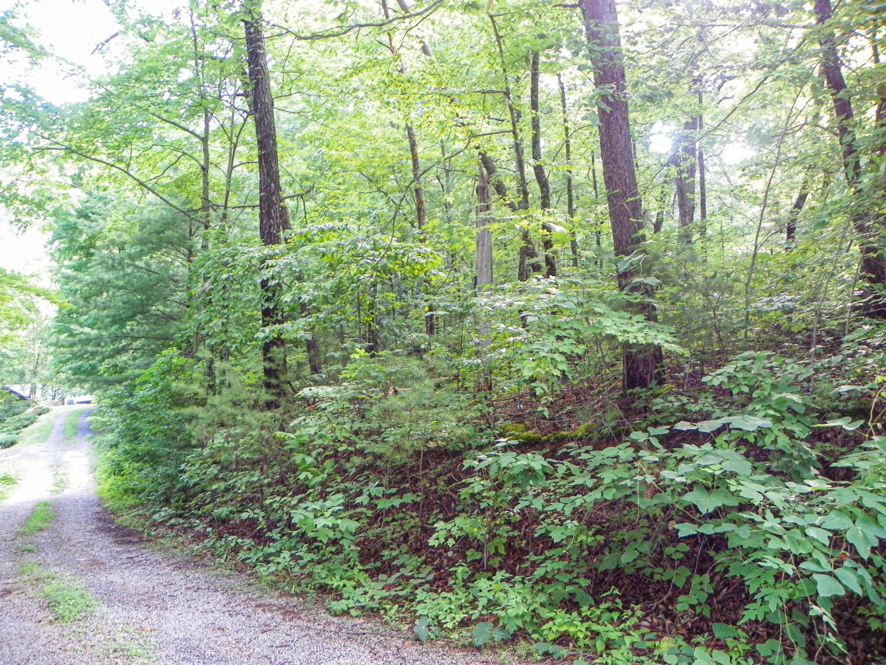 Sevierville, TN 37862,Lot# 23 Brooke Hollow LN