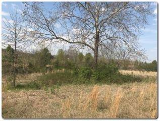 Sevierville, TN 37876,Lot 2 Old Newport Hwy