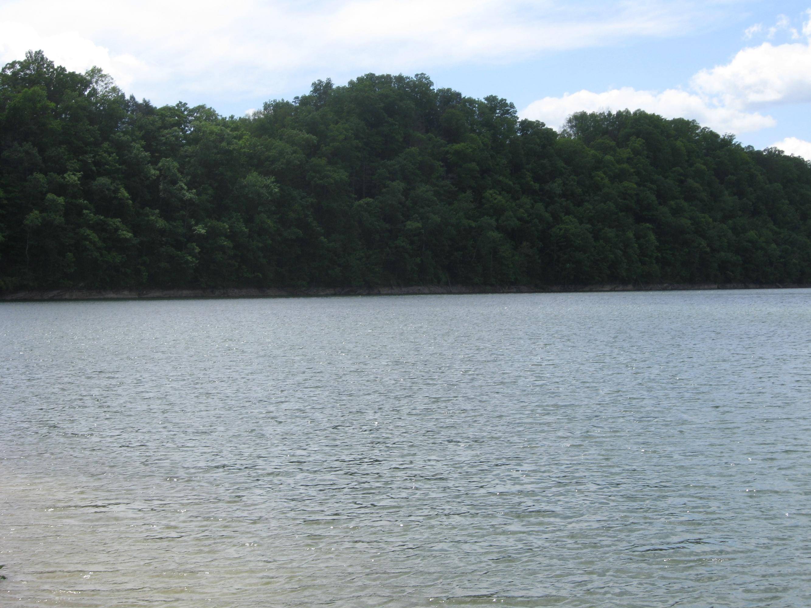 New Tazewell, TN 37825,Lot 42 Mountain Shores Road