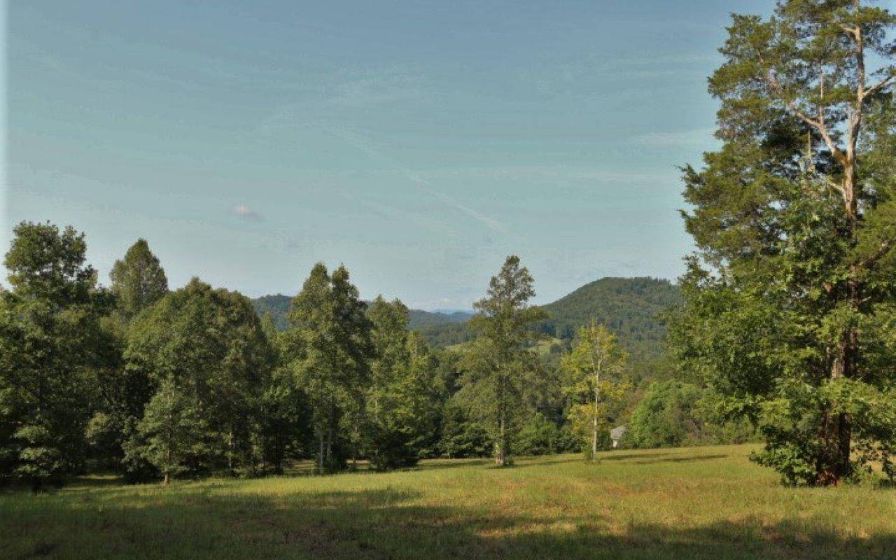 Tellico Plains, TN 37385,178 Welch Rd.