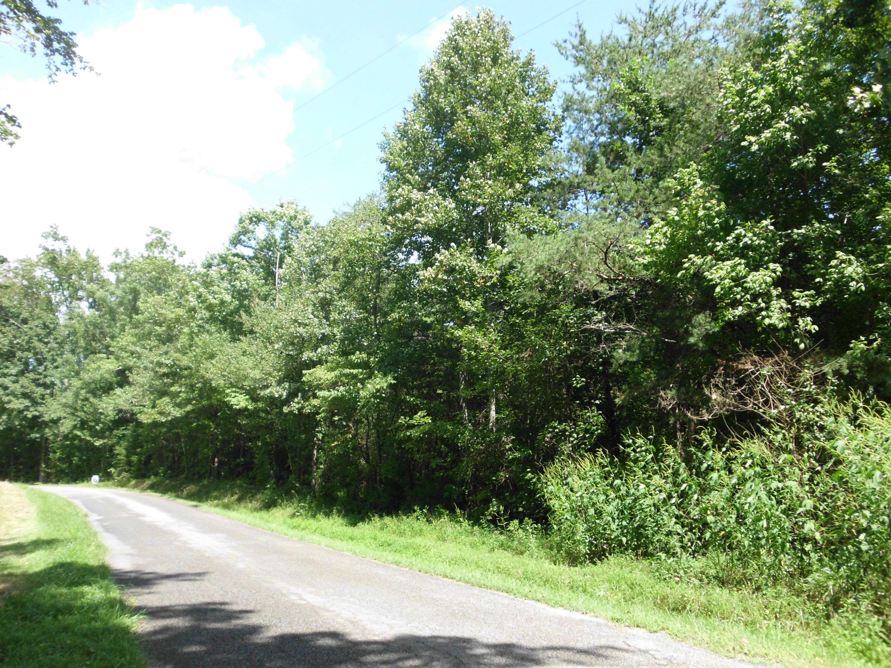 Tellico Plains, TN 37385,Old Mill Rd