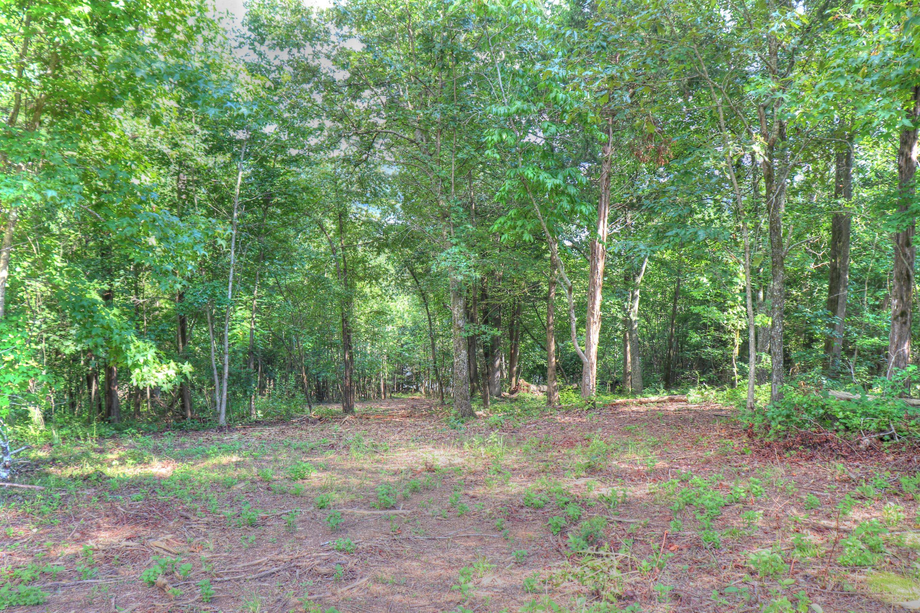 Rockwood, TN 37854,Lot 113 Shore DR