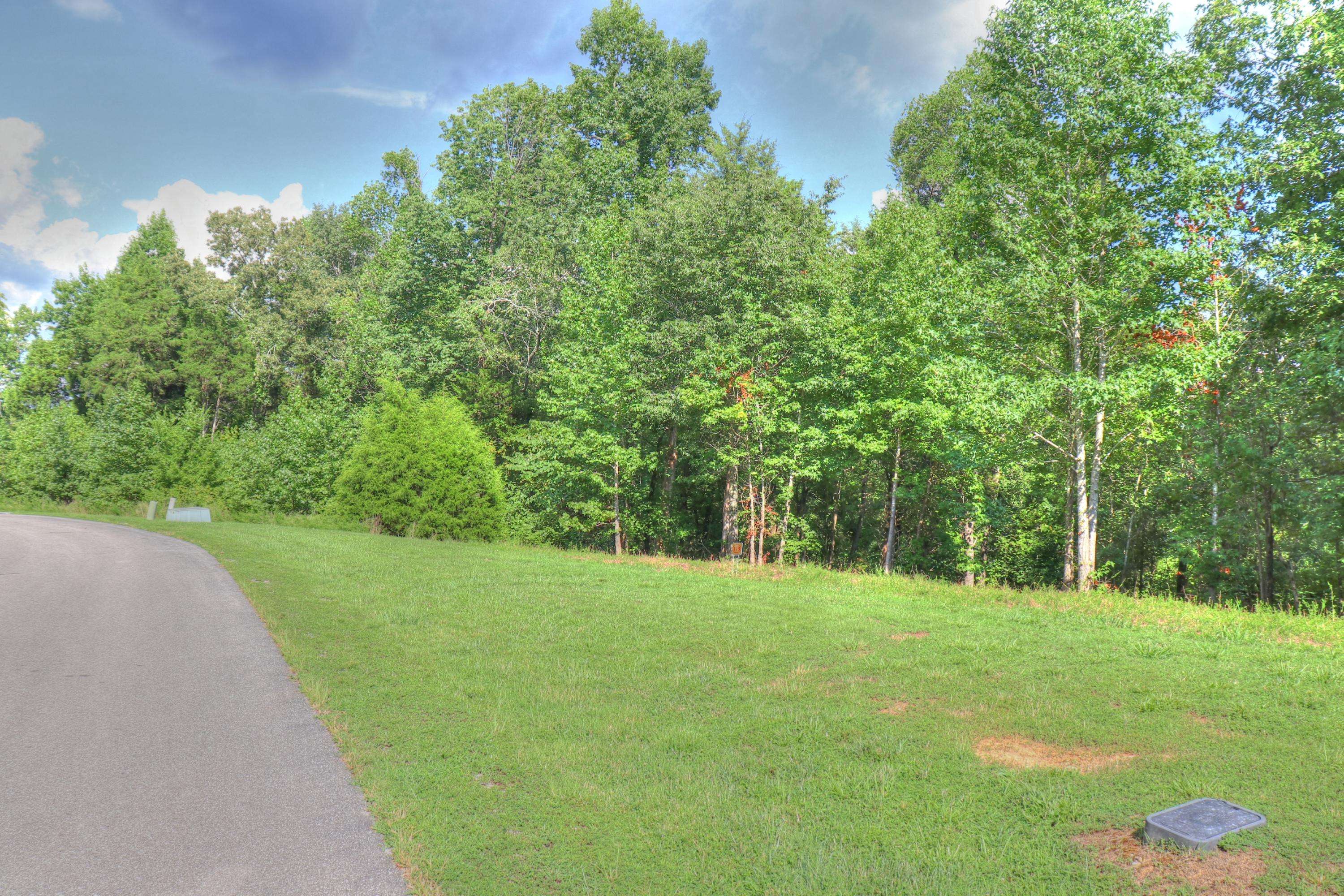 Rockwood, TN 37854,Lot 113 Shore DR