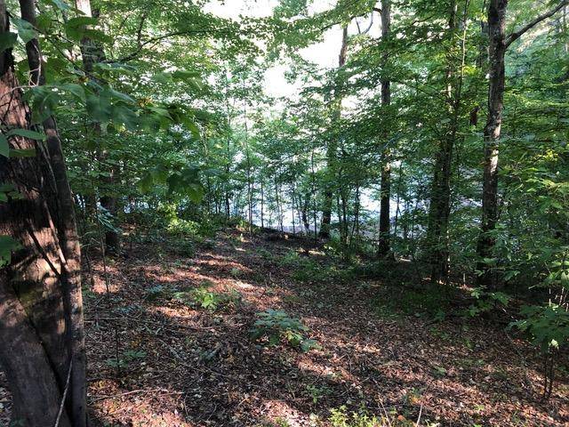 New Tazewell, TN 37825,Lot 36 Mountain Shores Rd