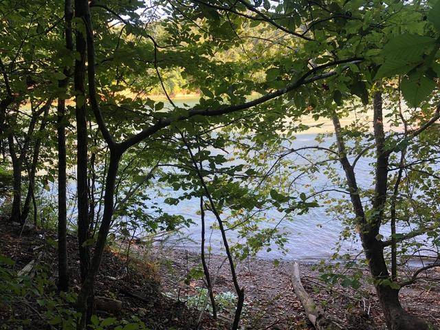 New Tazewell, TN 37825,Lot 36 Mountain Shores Rd