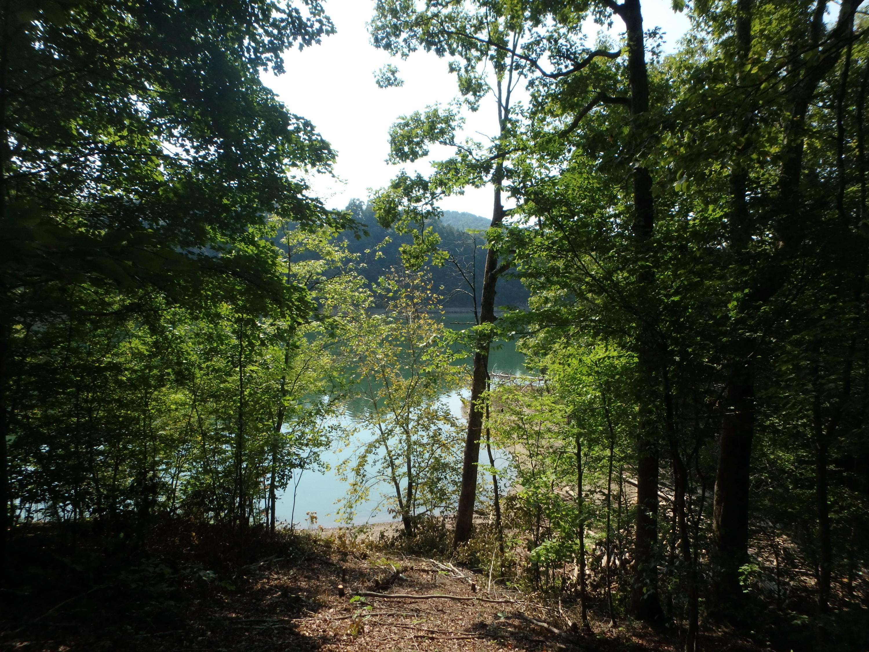 New Tazewell, TN 37825,Lot 36 Mountain Shores Rd