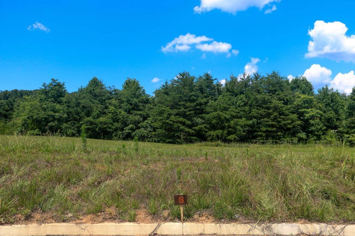 Strawberry Plains, TN 37871,Lot 6 Melford DR