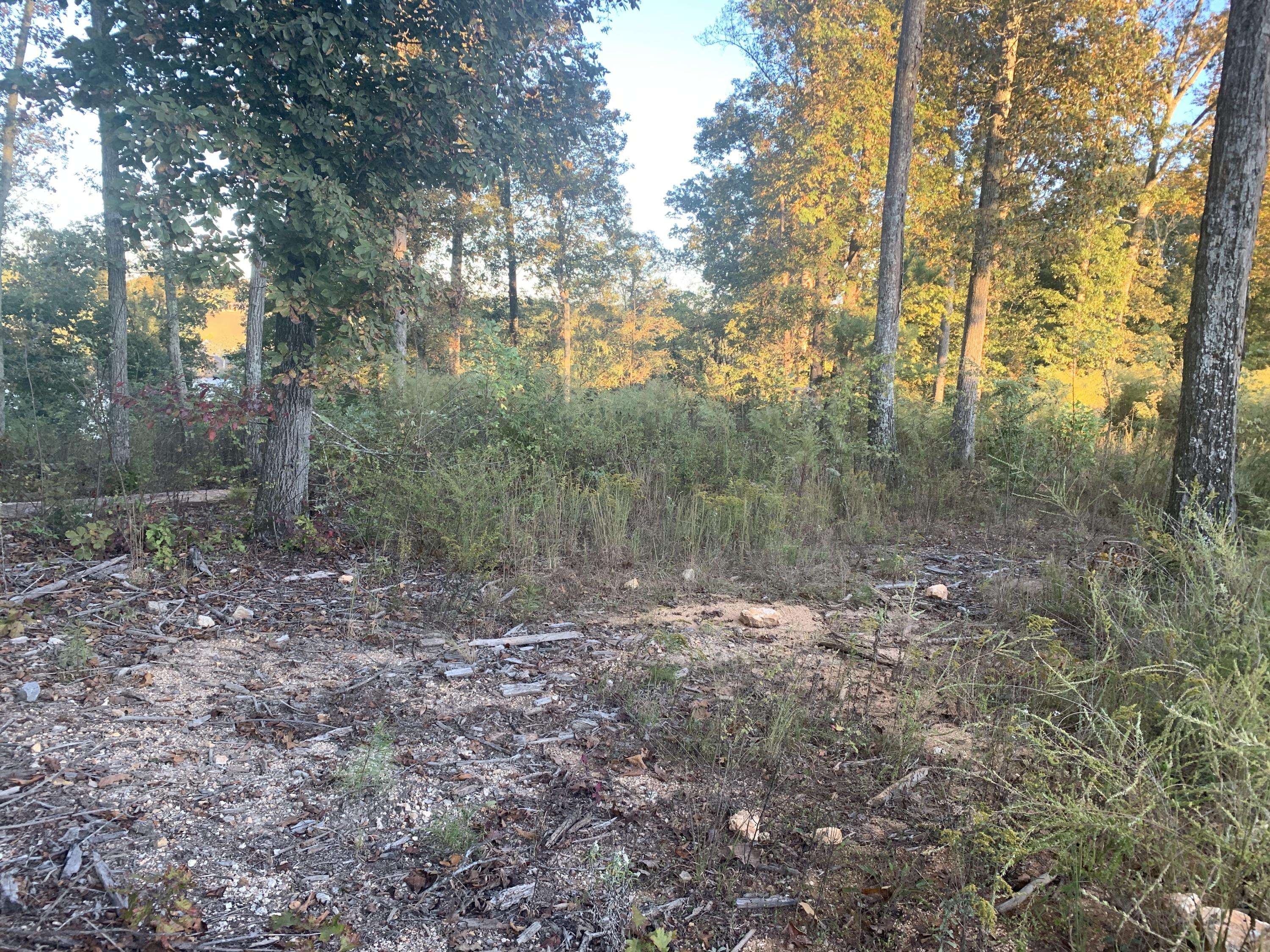 Loudon, TN 37774,Eagle Nest DR
