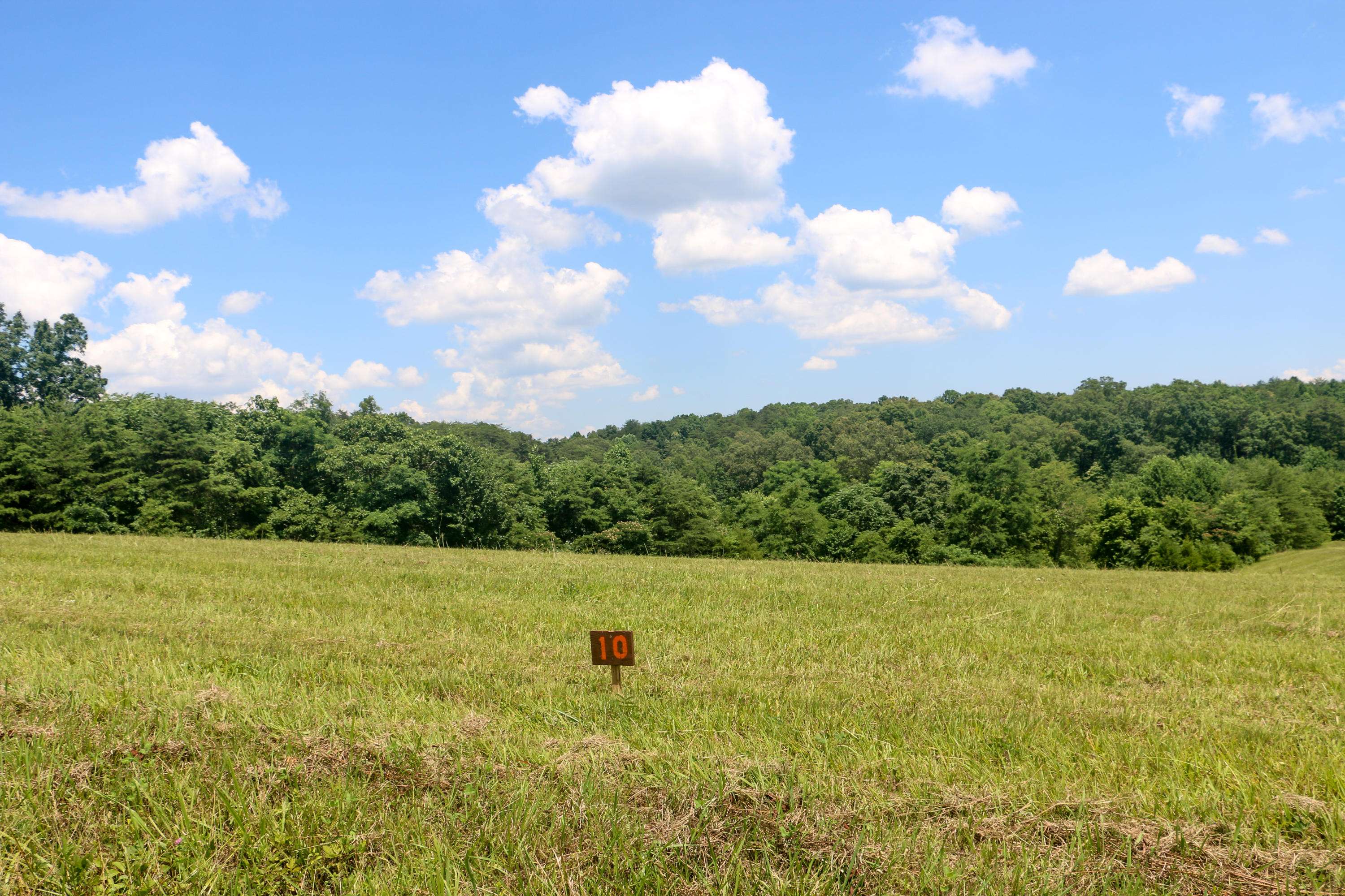 Strawberry Plains, TN 37871,Lot 10 Douglas Dam Rd