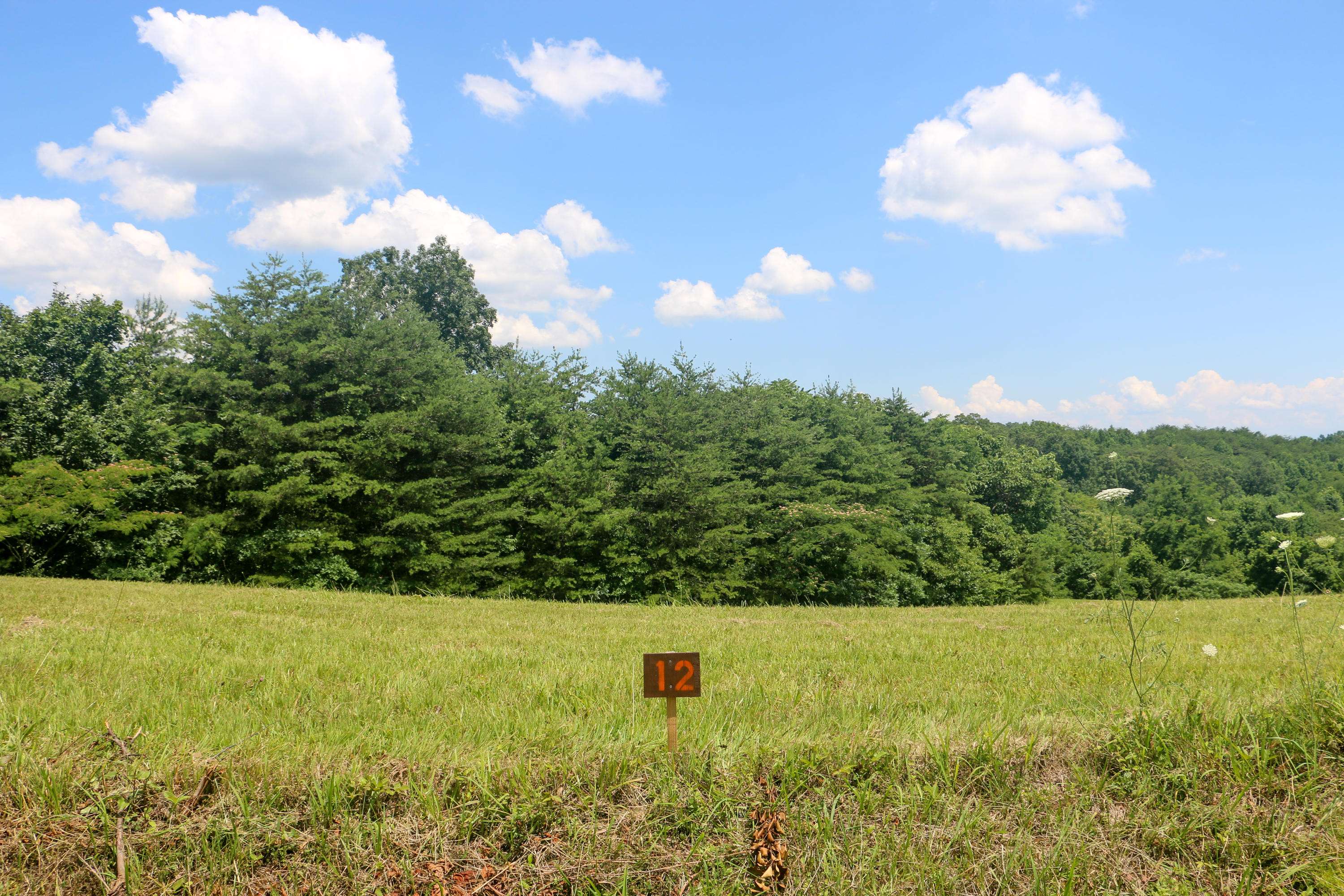 Strawberry Plains, TN 37871,Lot 12 Douglas Dam Rd