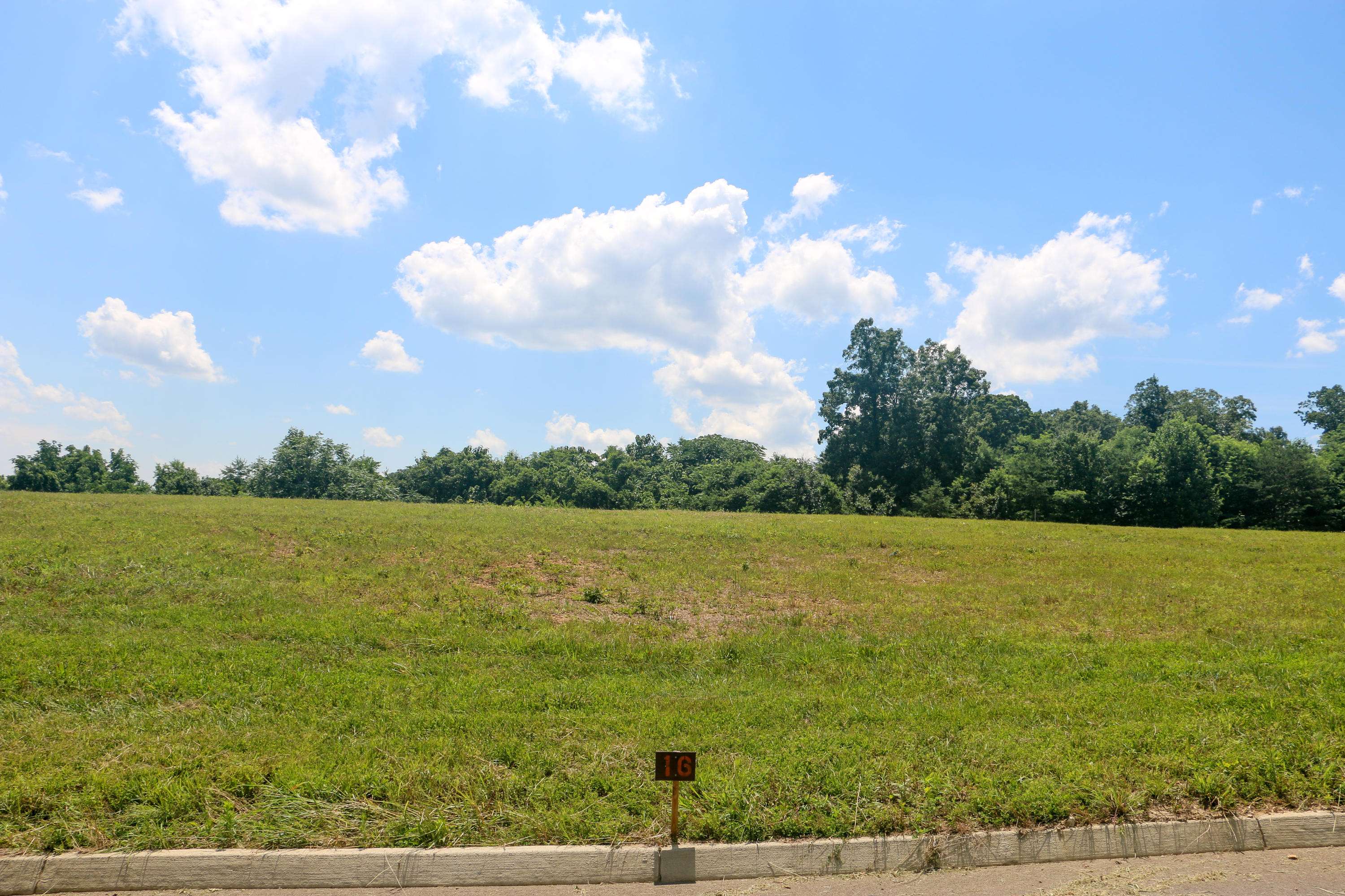 Strawberry Plains, TN 37871,Lot 16 Dogwood Meadows DR