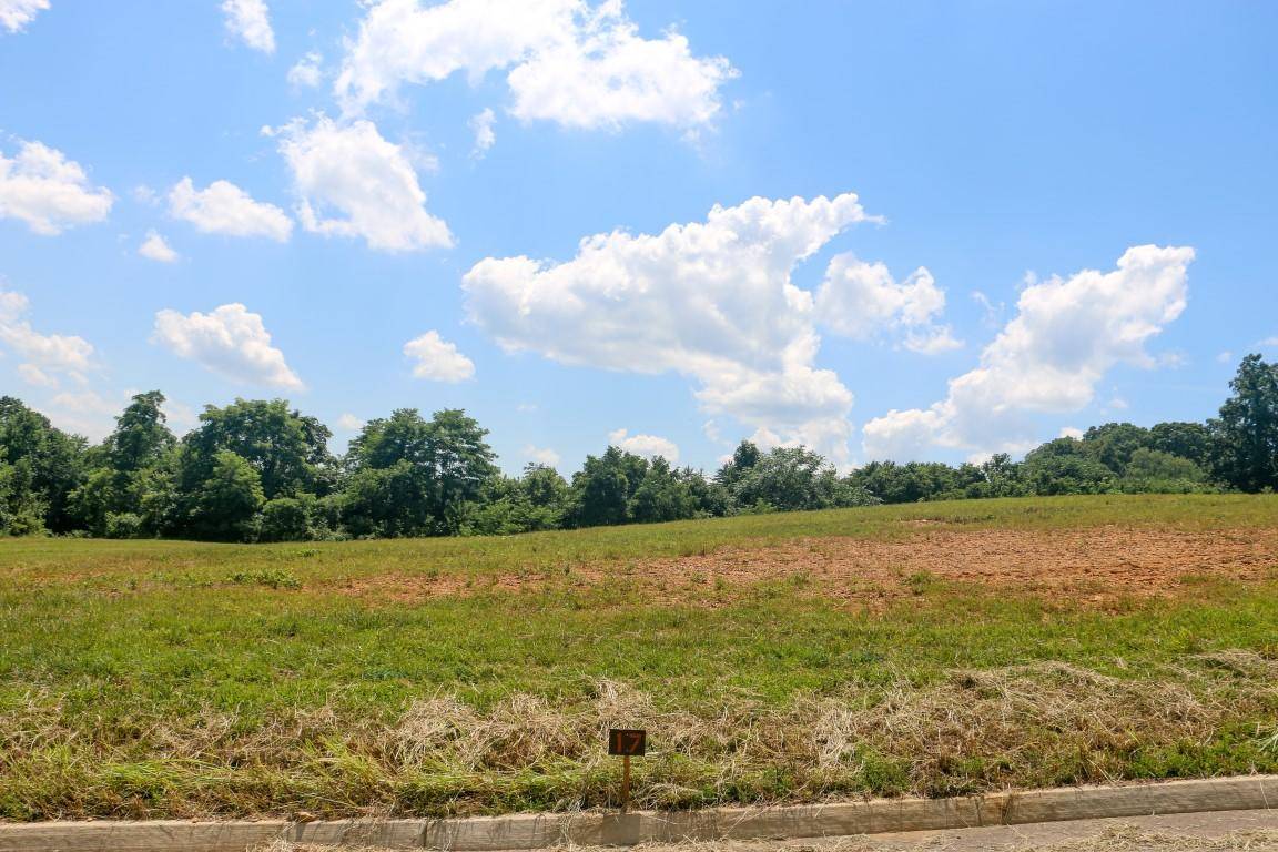 Strawberry Plains, TN 37871,Lot 17 Dogwood Meadows DR