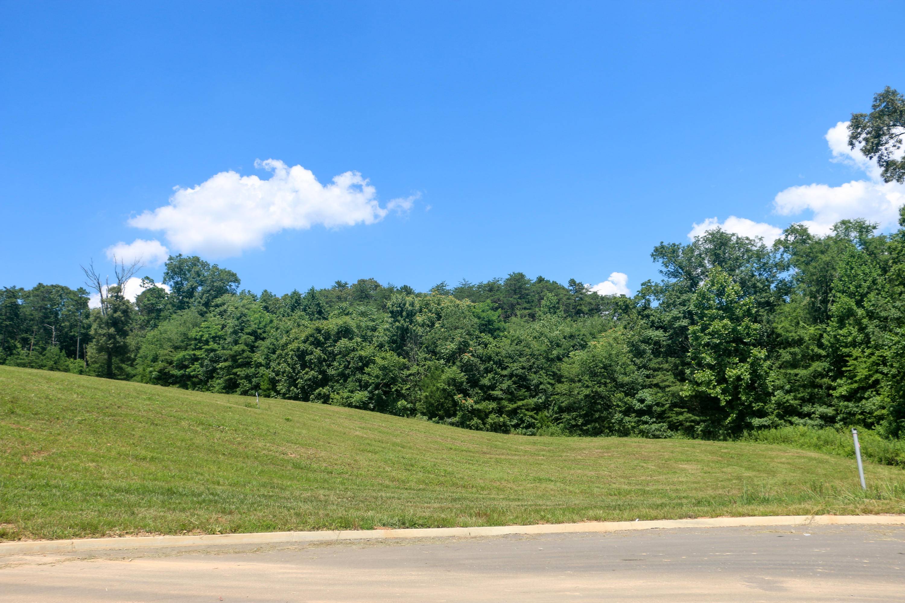 Strawberry Plains, TN 37871,Lot 21 Dogwood Meadows DR