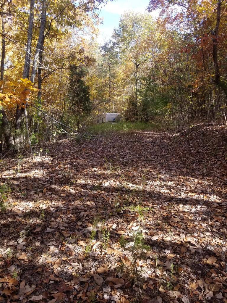 Spring City, TN 37381,8.62 Acres Tammy Tr